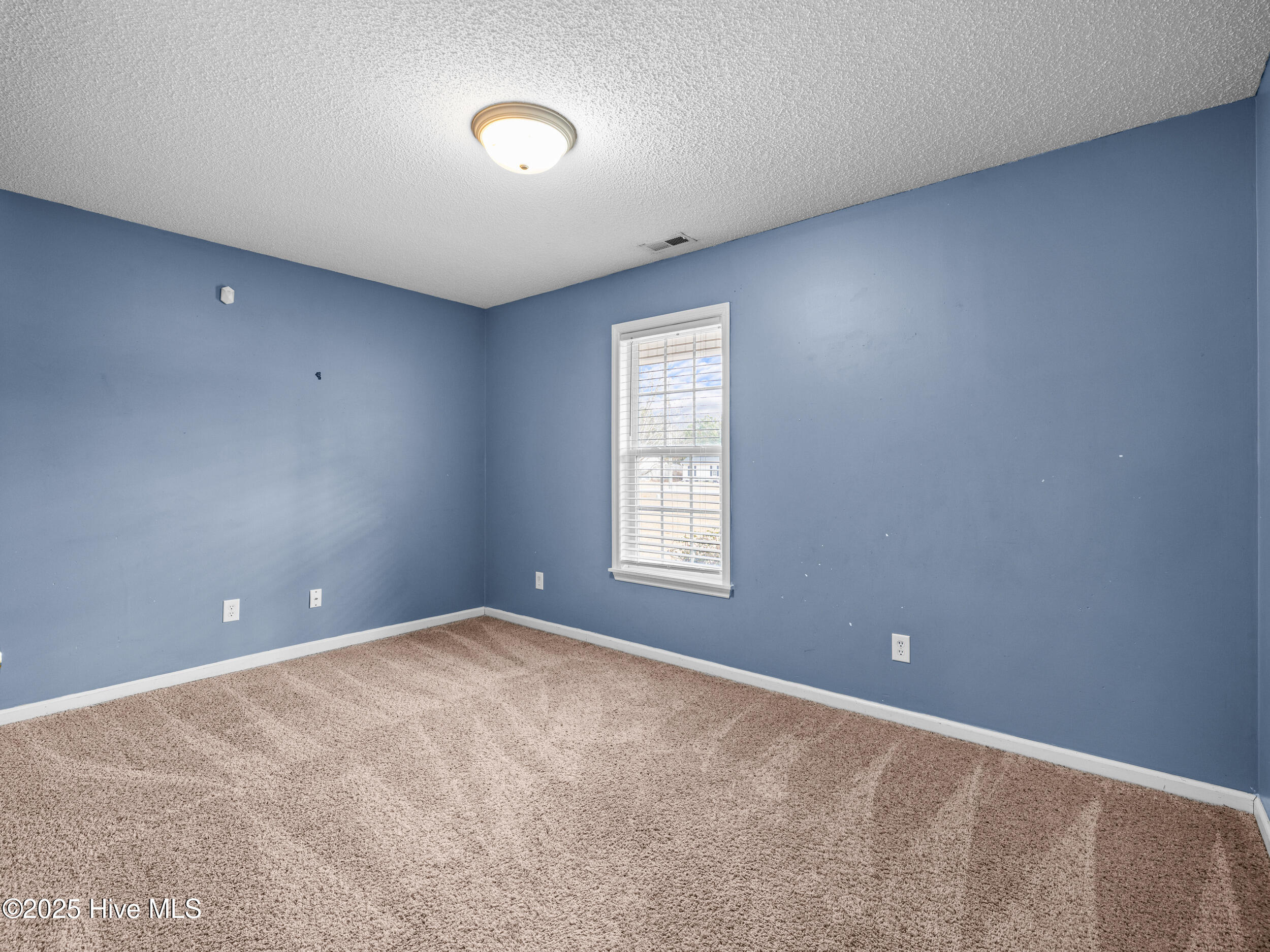 100546613 | Photo 27