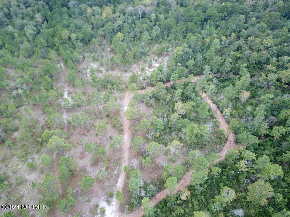 100460239 | Photo 11