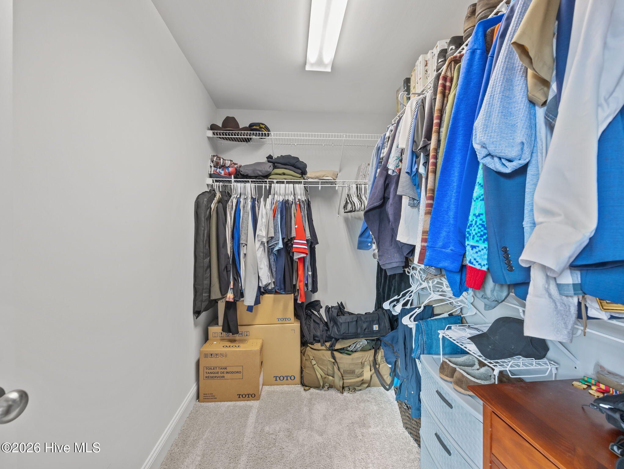 100563779 | Photo 25