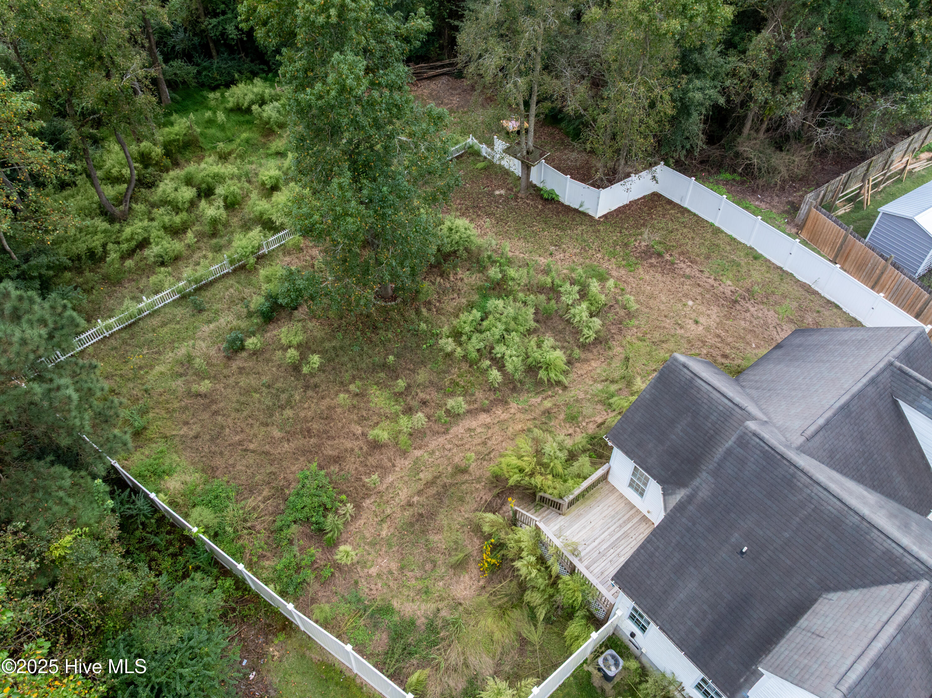 100536355 | Photo 30