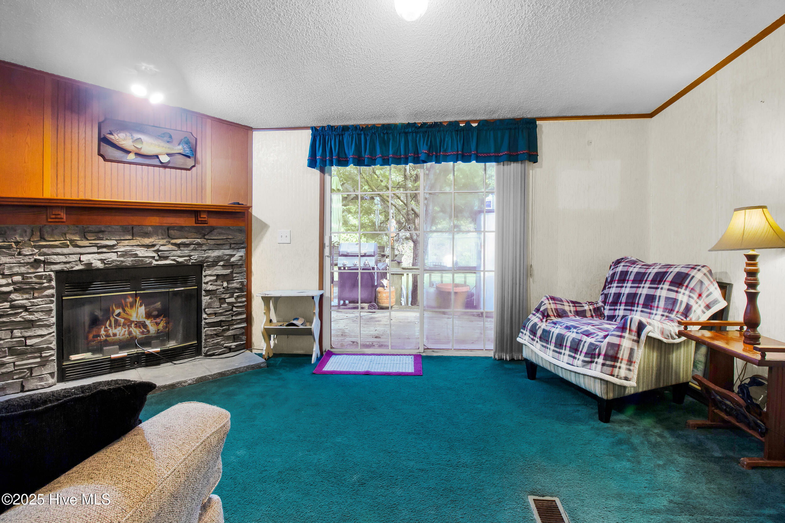 100535721 | Photo 17