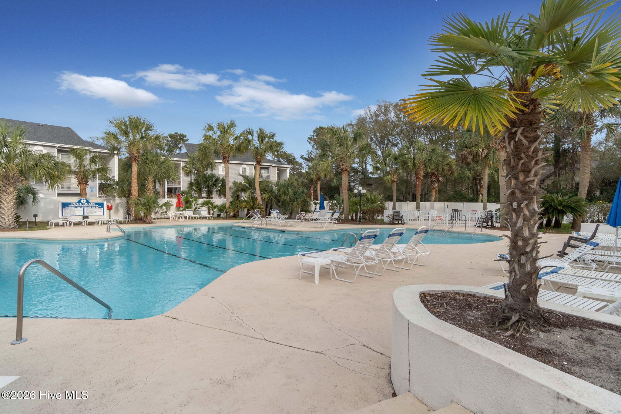 100558580 | Photo 41