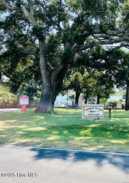 100531930 | Photo 70