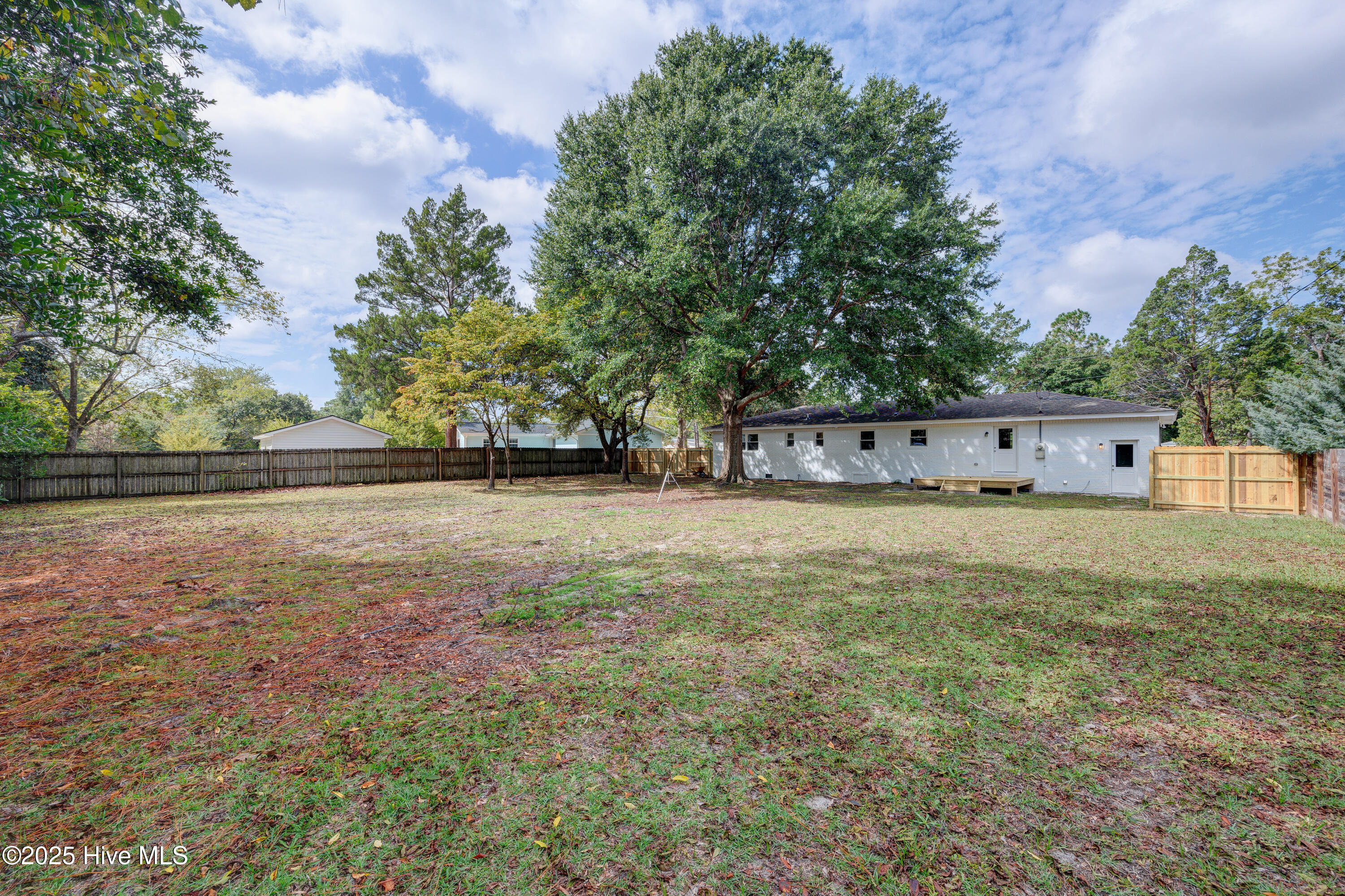 100534169 | Photo 37