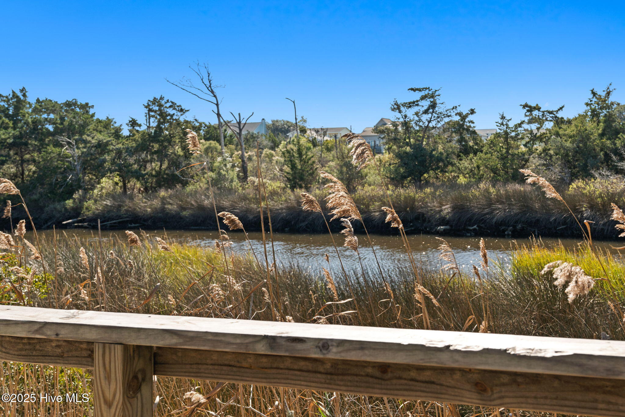 100541037 | Photo 56