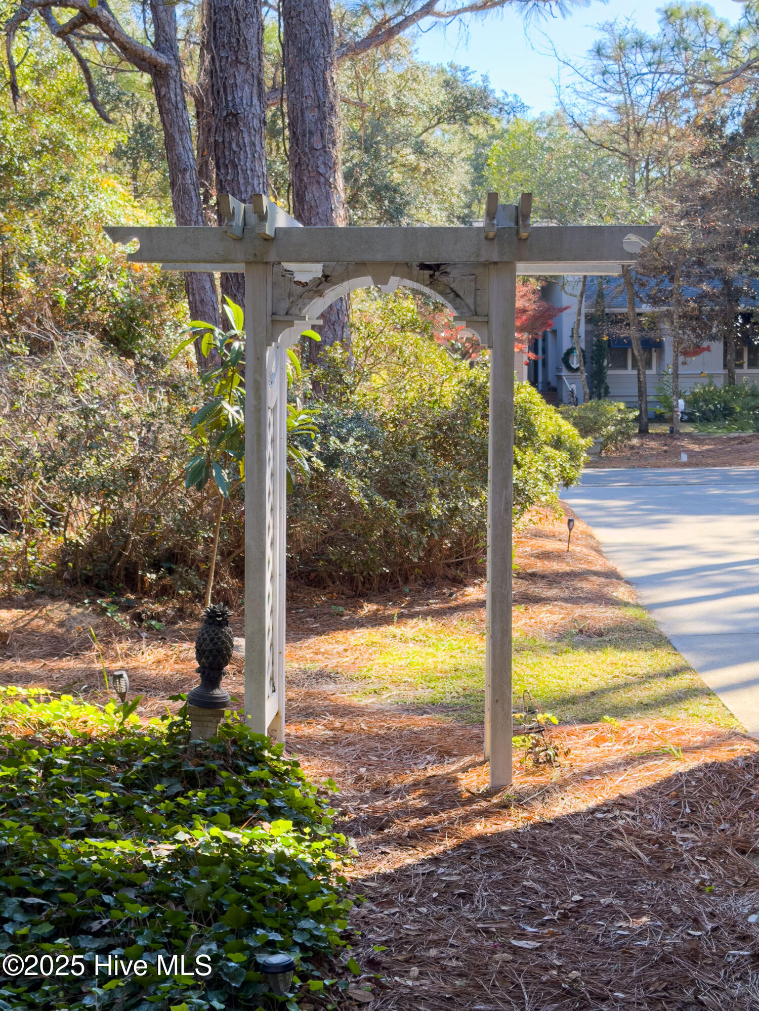 100542909 | Photo 50