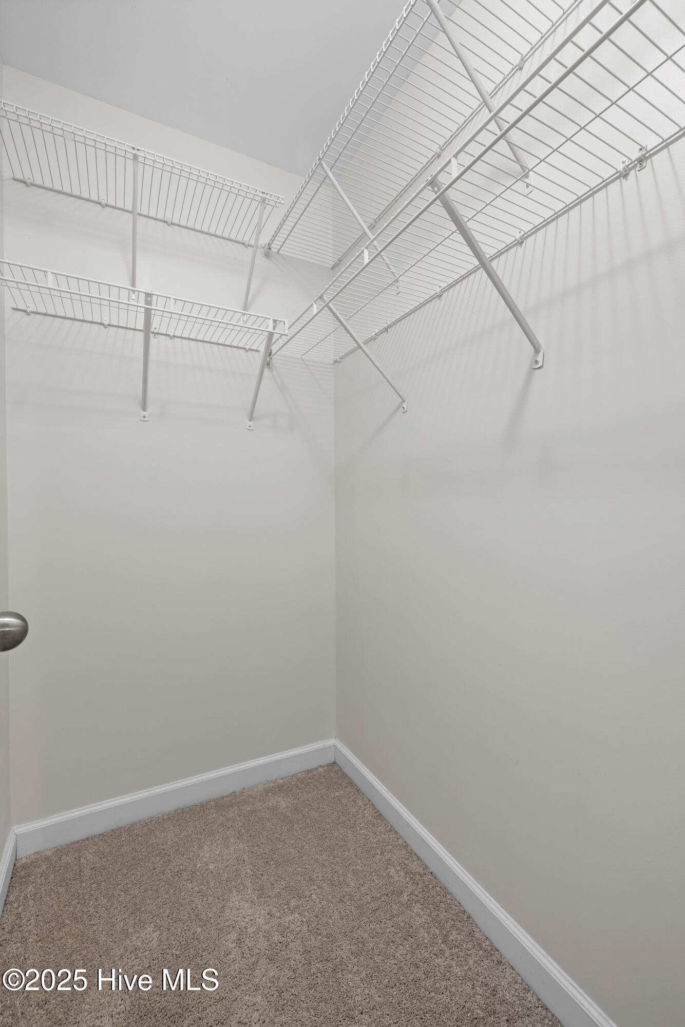 100568502 | Photo 26