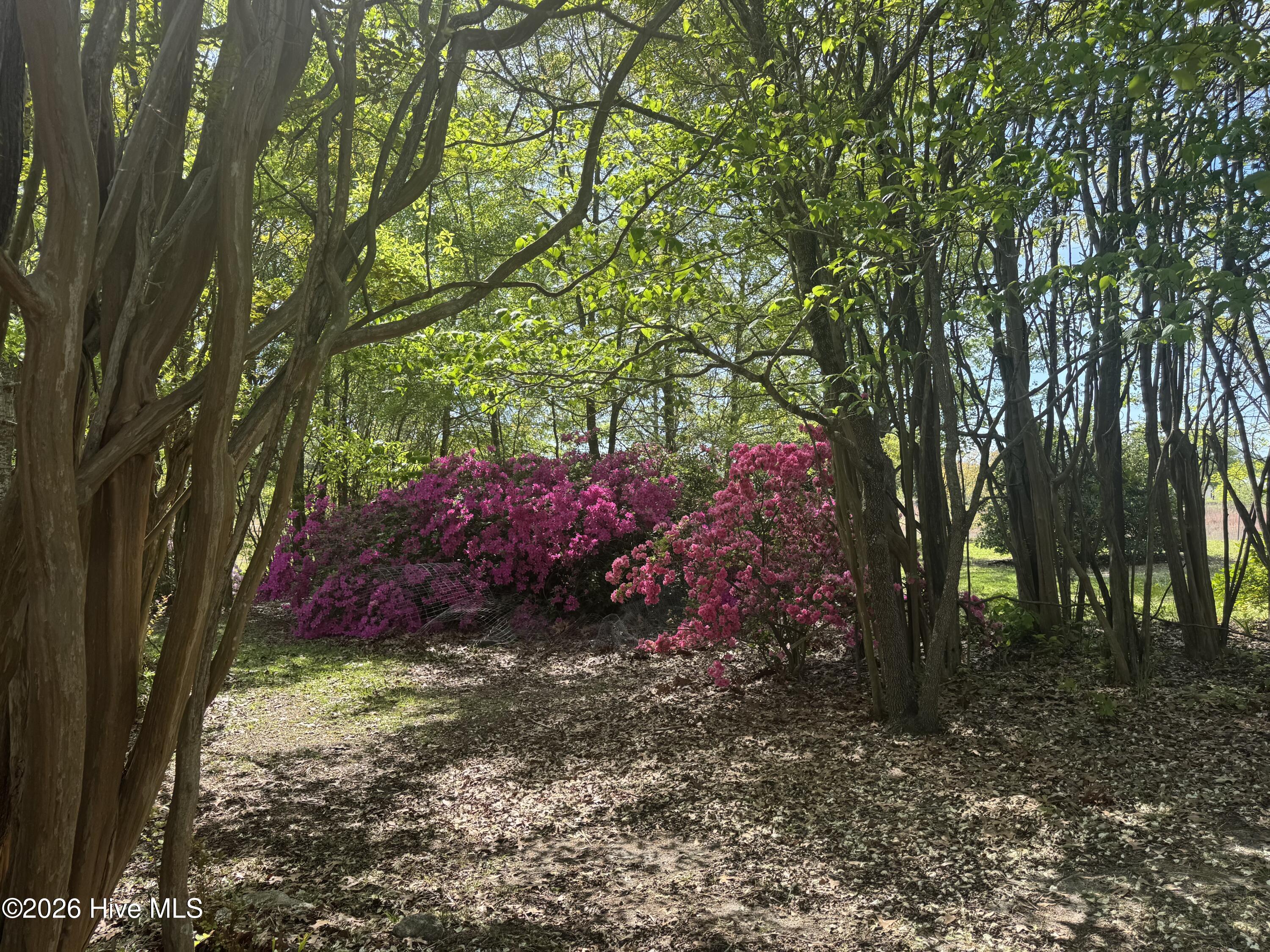 490 Springhill Church Road, Hamlet, NC, 28345