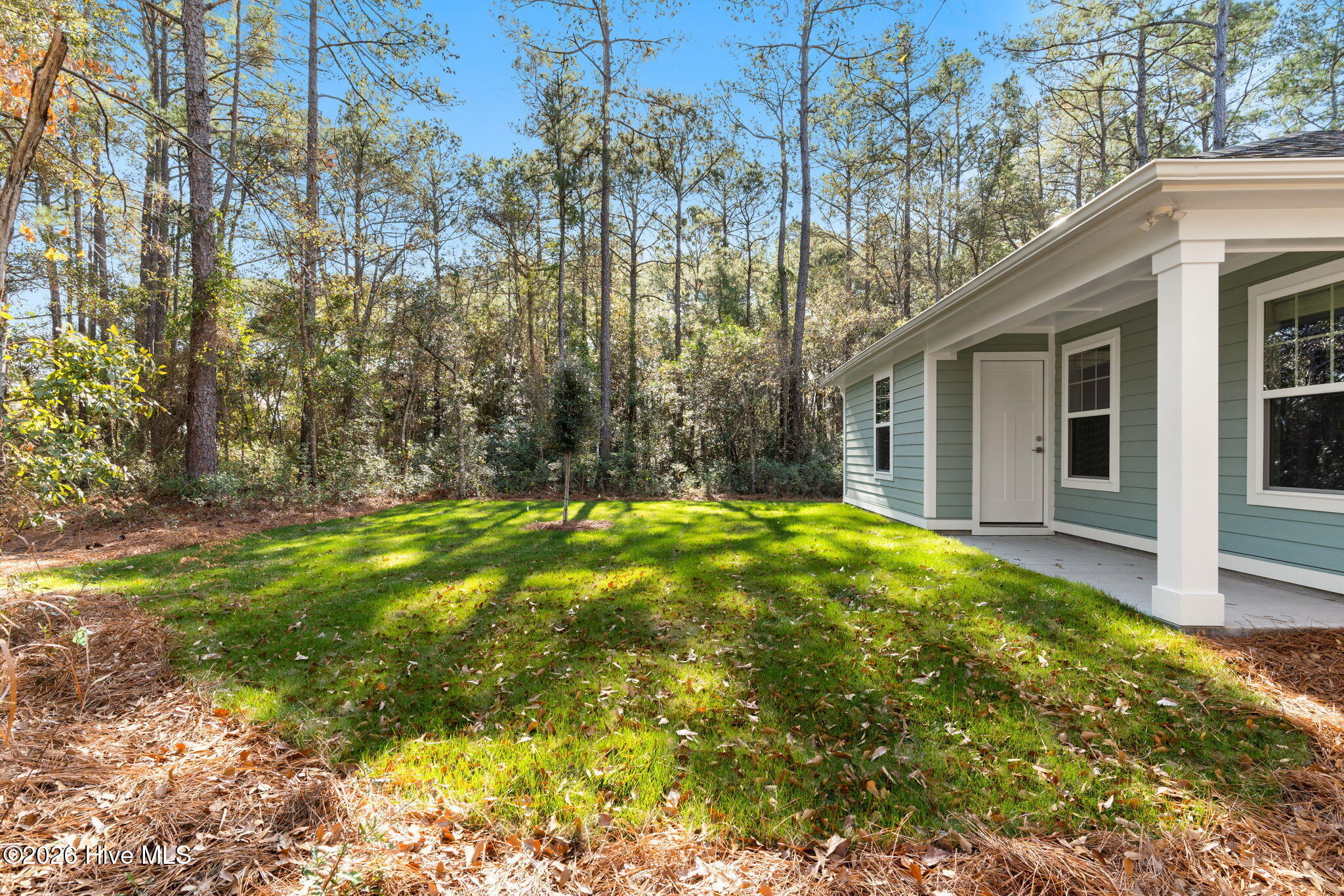 100527921 | Photo 45