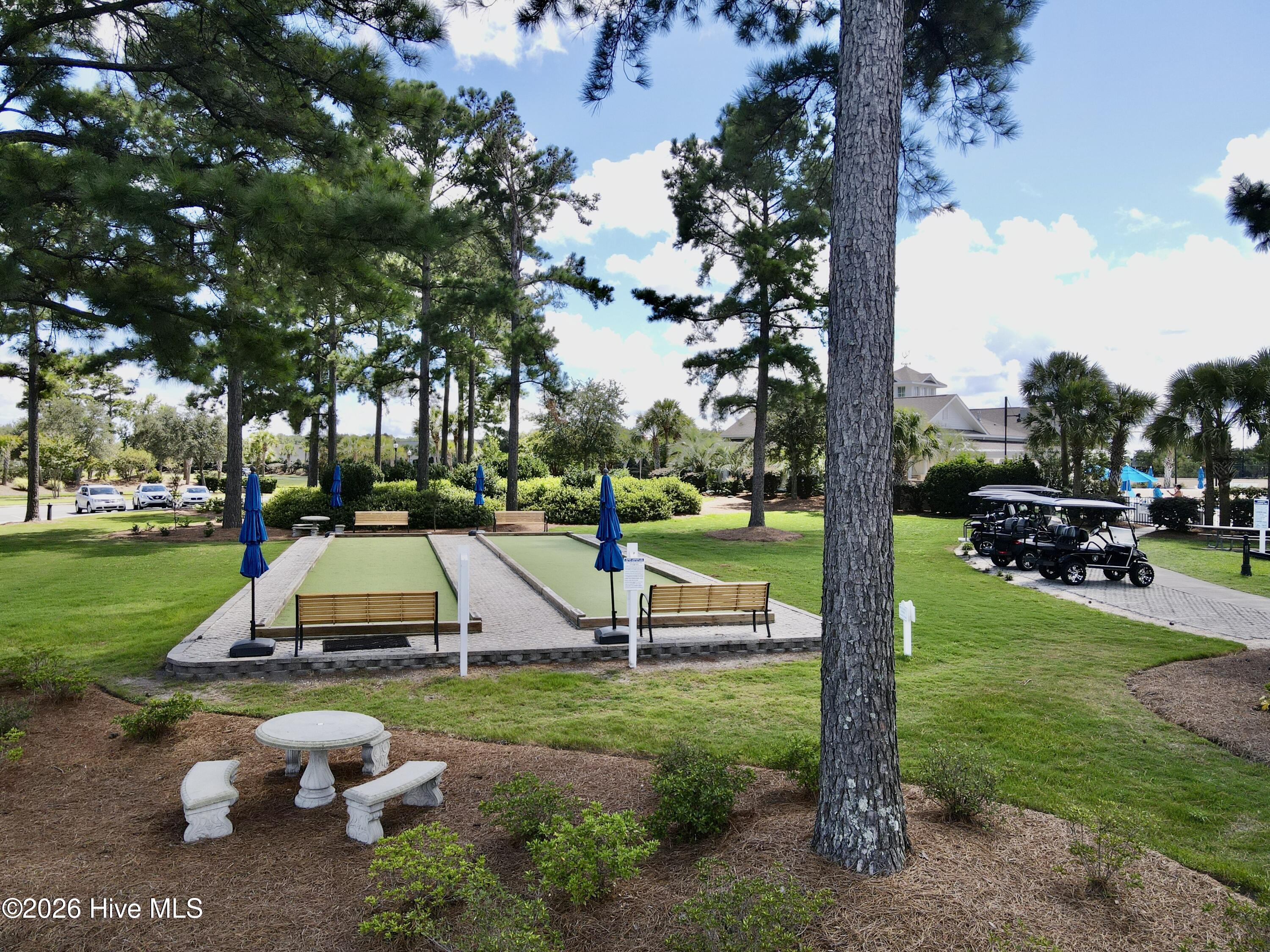 100554924 | Photo 53