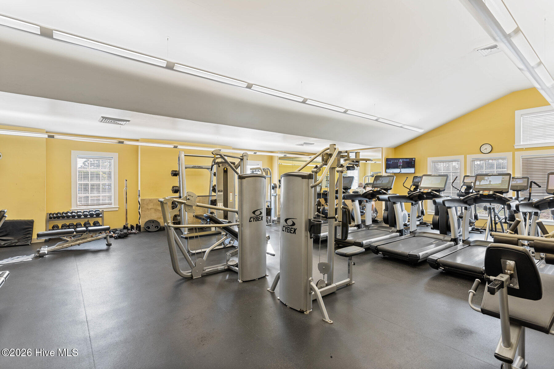 100558042 | Photo 87