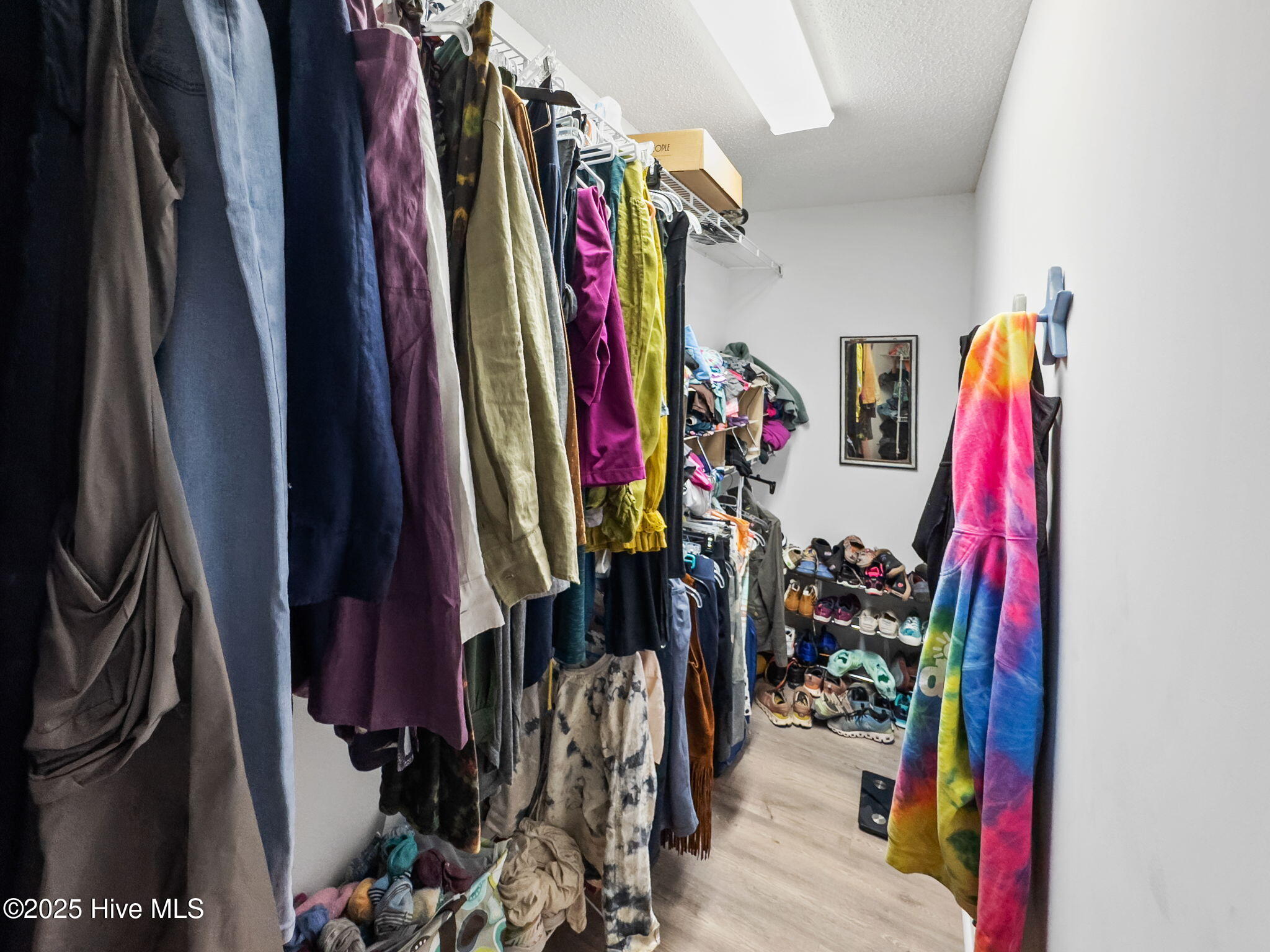 100531343 | Photo 17