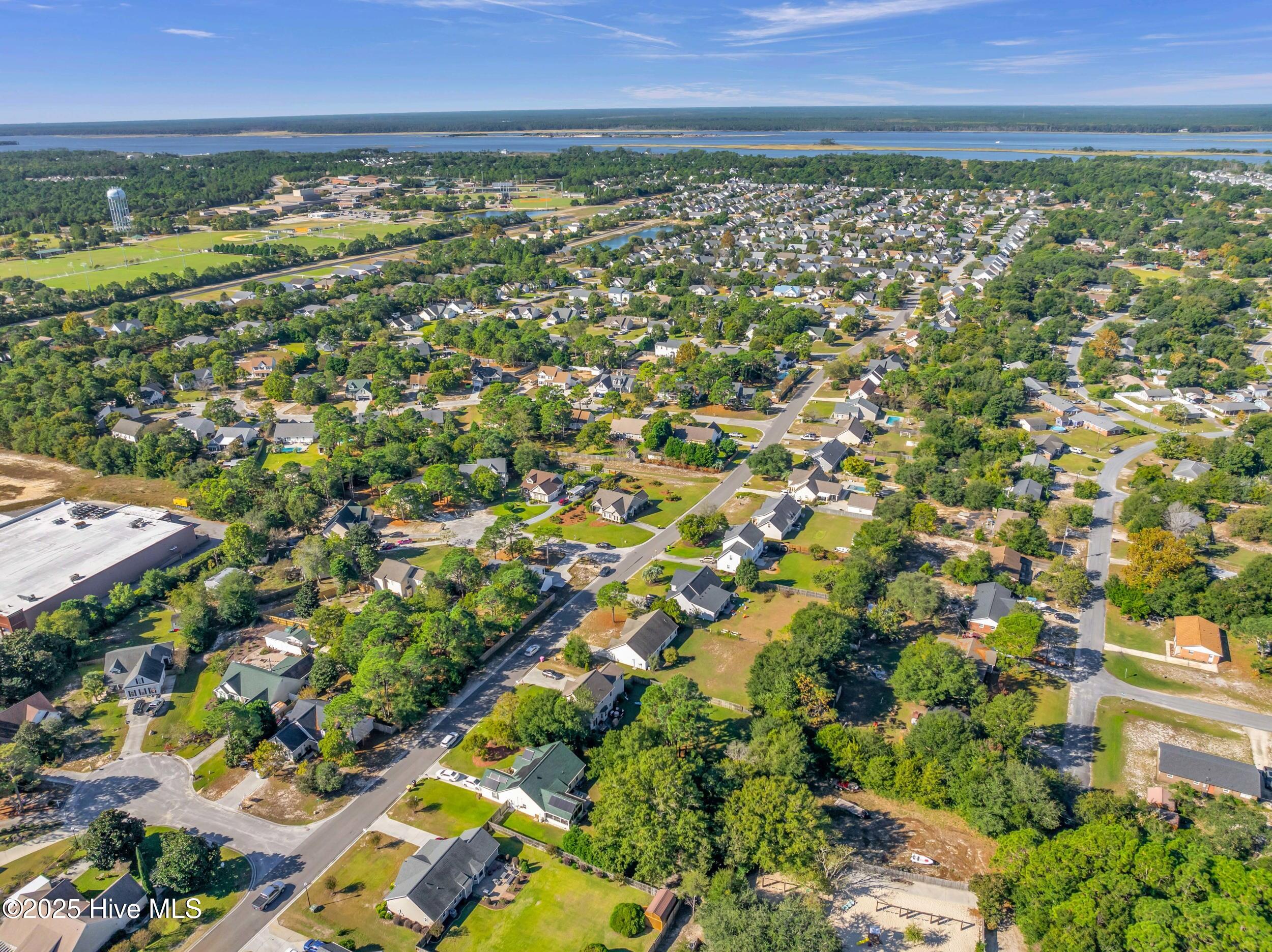 100536946 | Photo 41