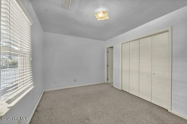 100535048 | Photo 18