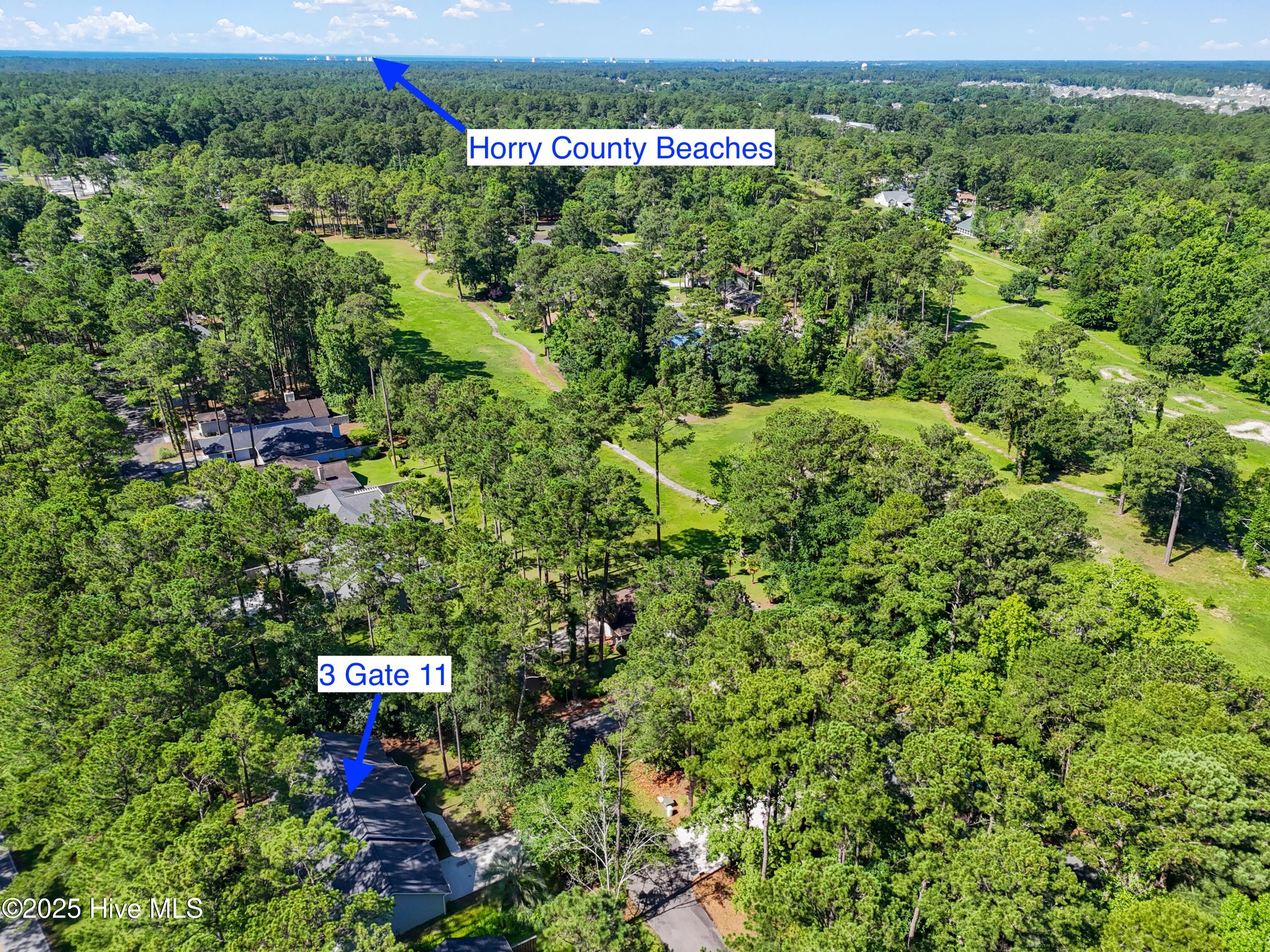 100515628 | Photo 44