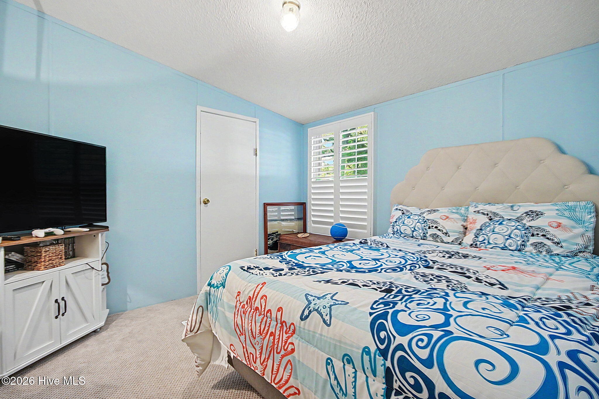 100568014 | Photo 10