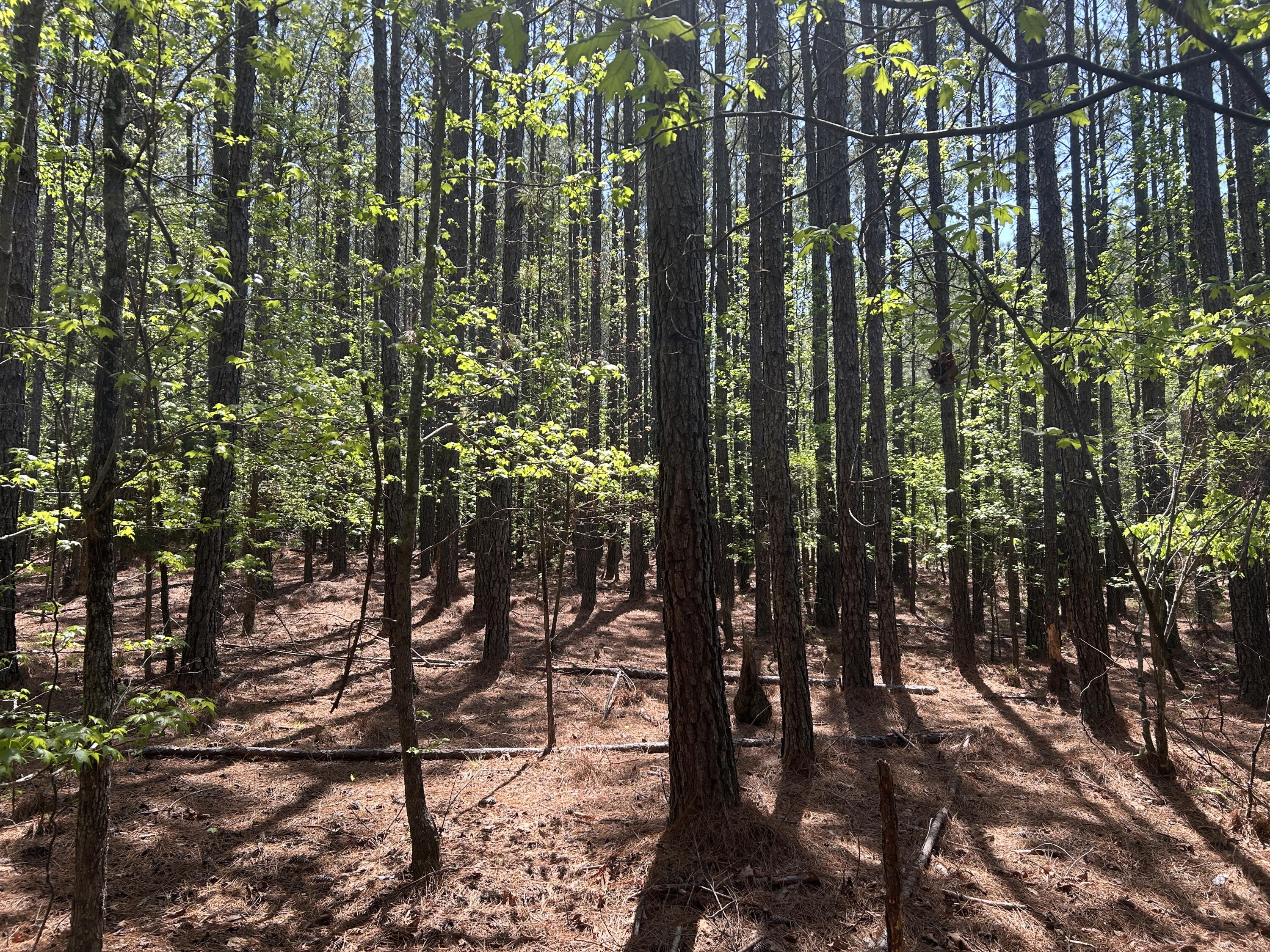 Homes for sale in Tignall, GA | 1153 Watersedge Cvs, Tignall, GA 30668 | MLS# 540525