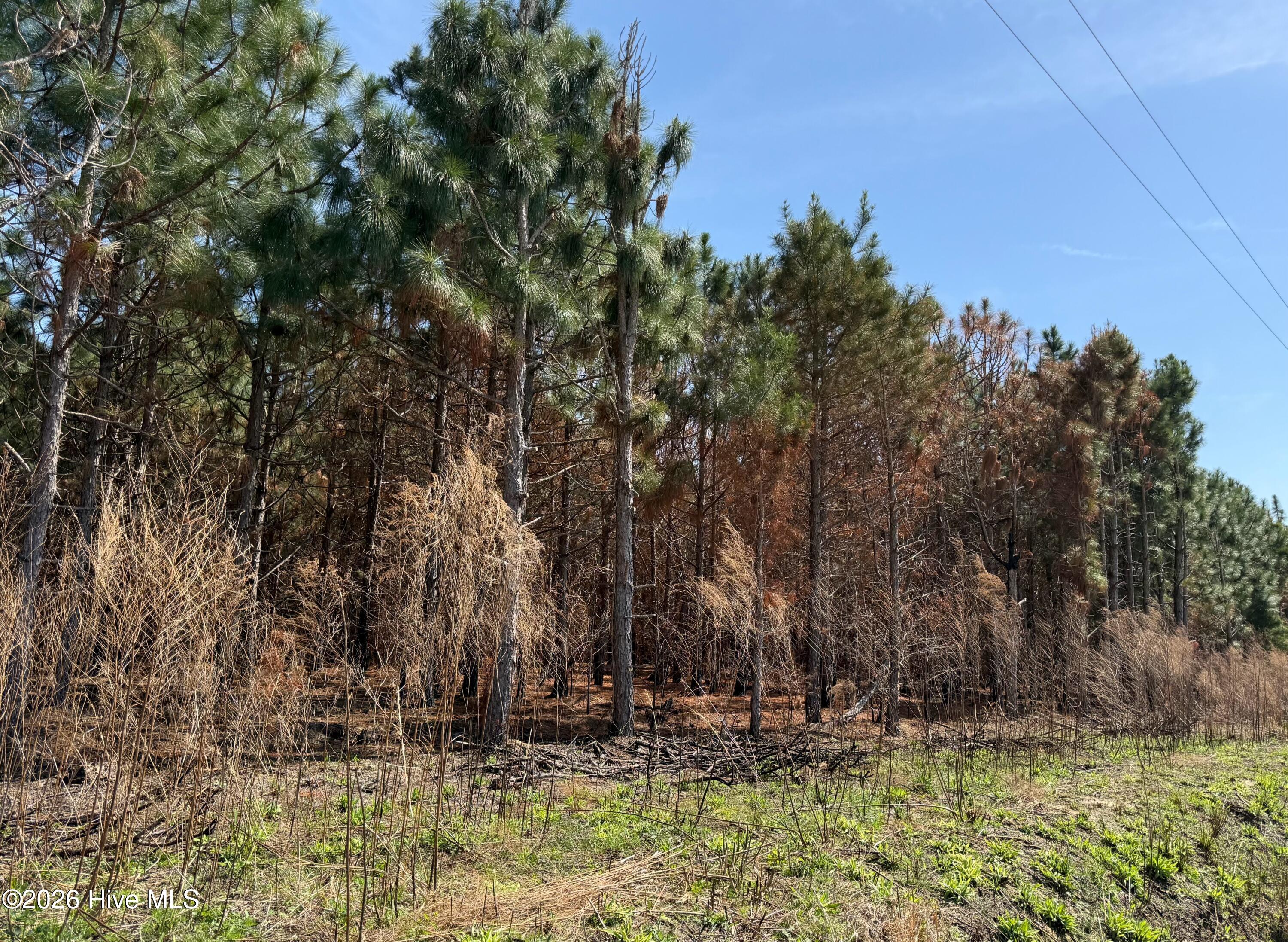 100560557 | Photo 37