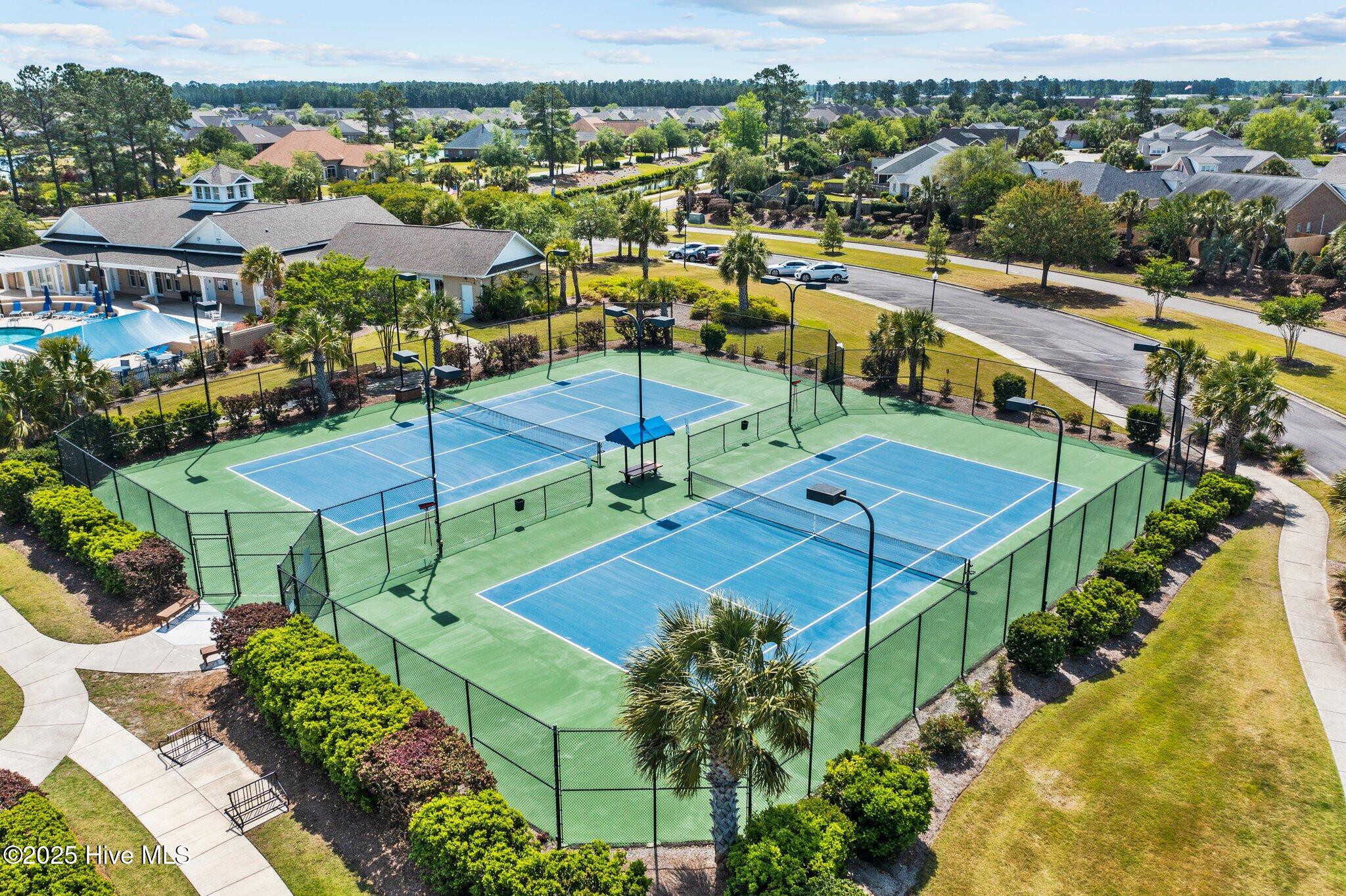 100541169 | Photo 42