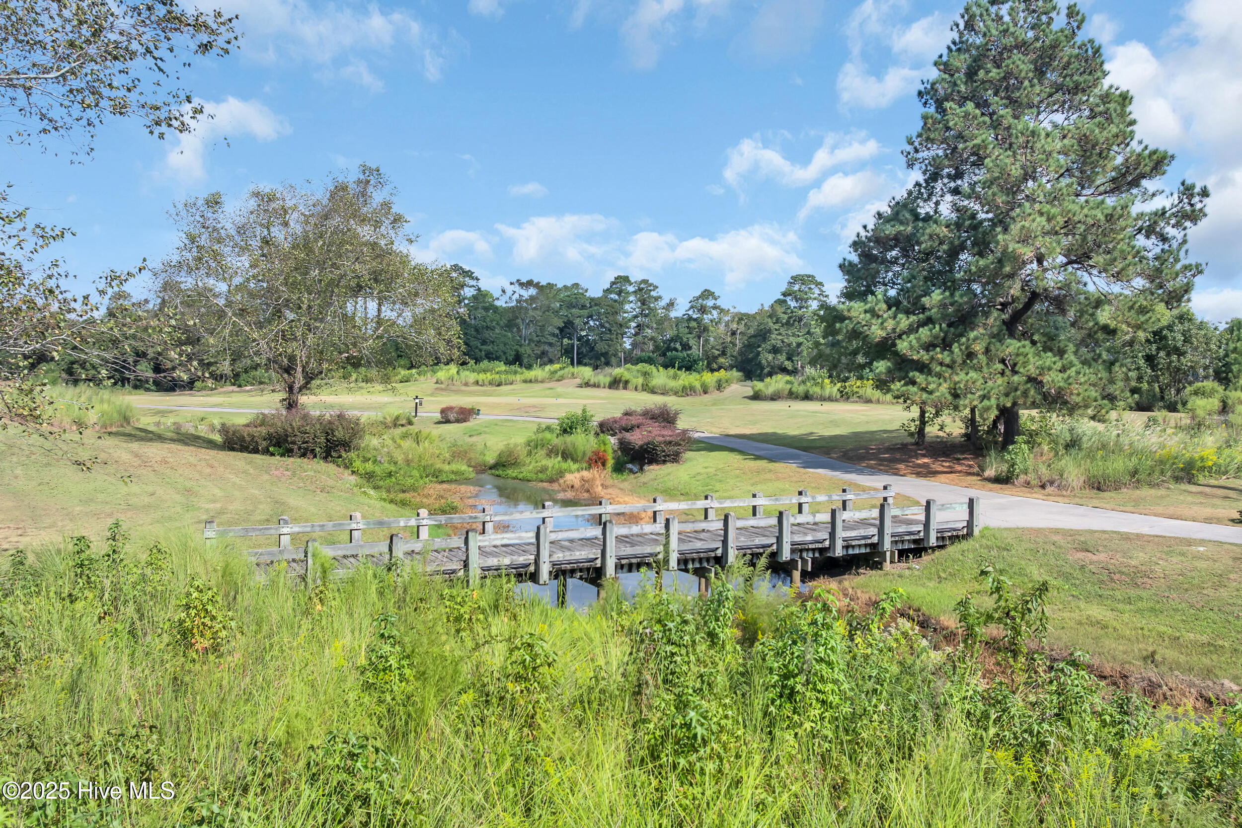 100533787 | Photo 57