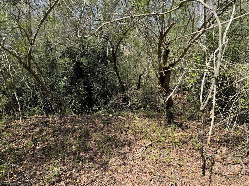 738 Old Mineral Springs Road, Elberton, GA, 30635