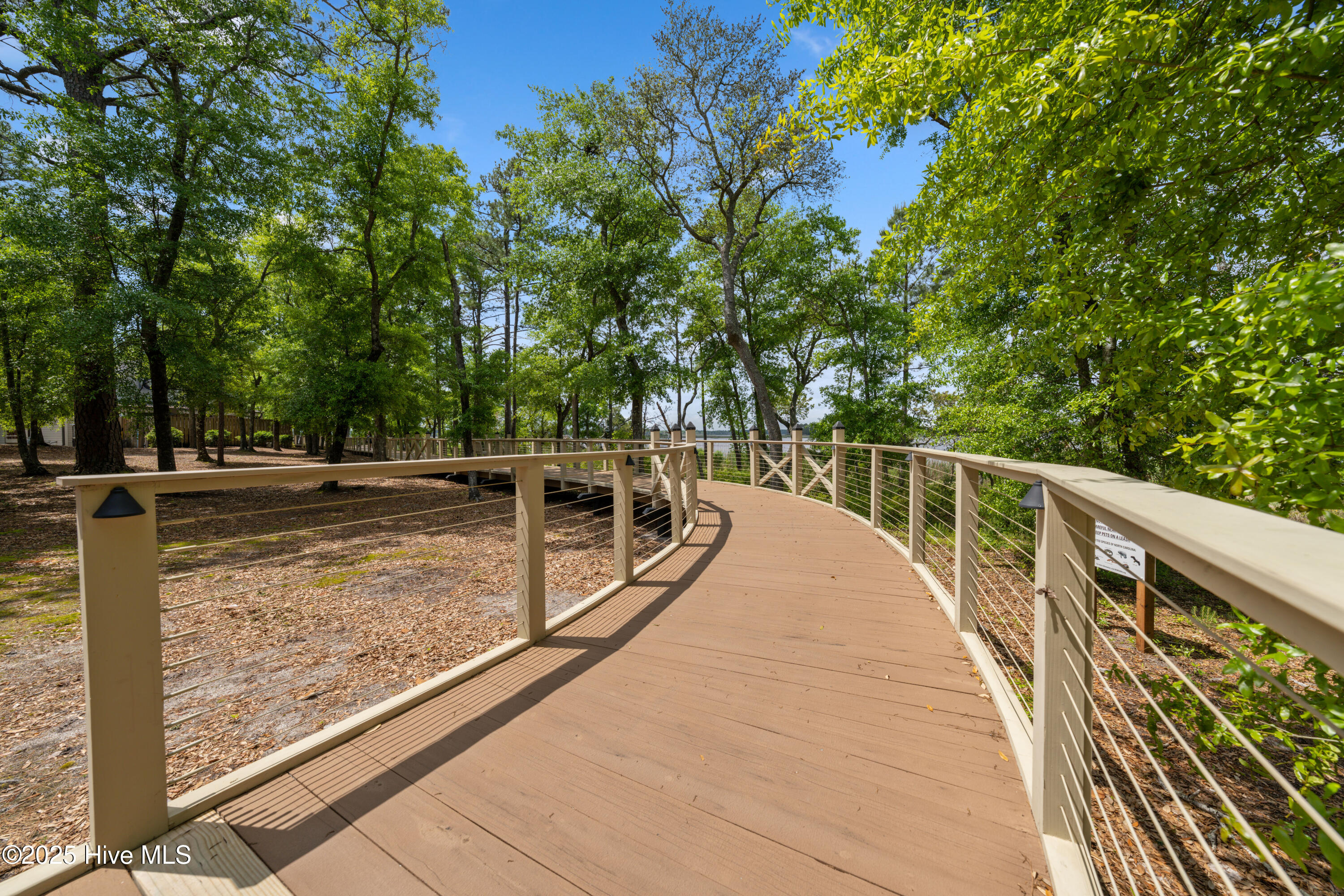 100517638 | Photo 31