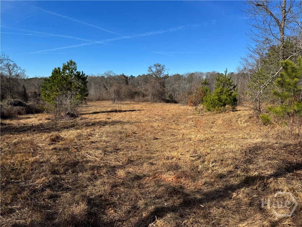 738 Old Mineral Springs Road, Elberton, GA, 30635