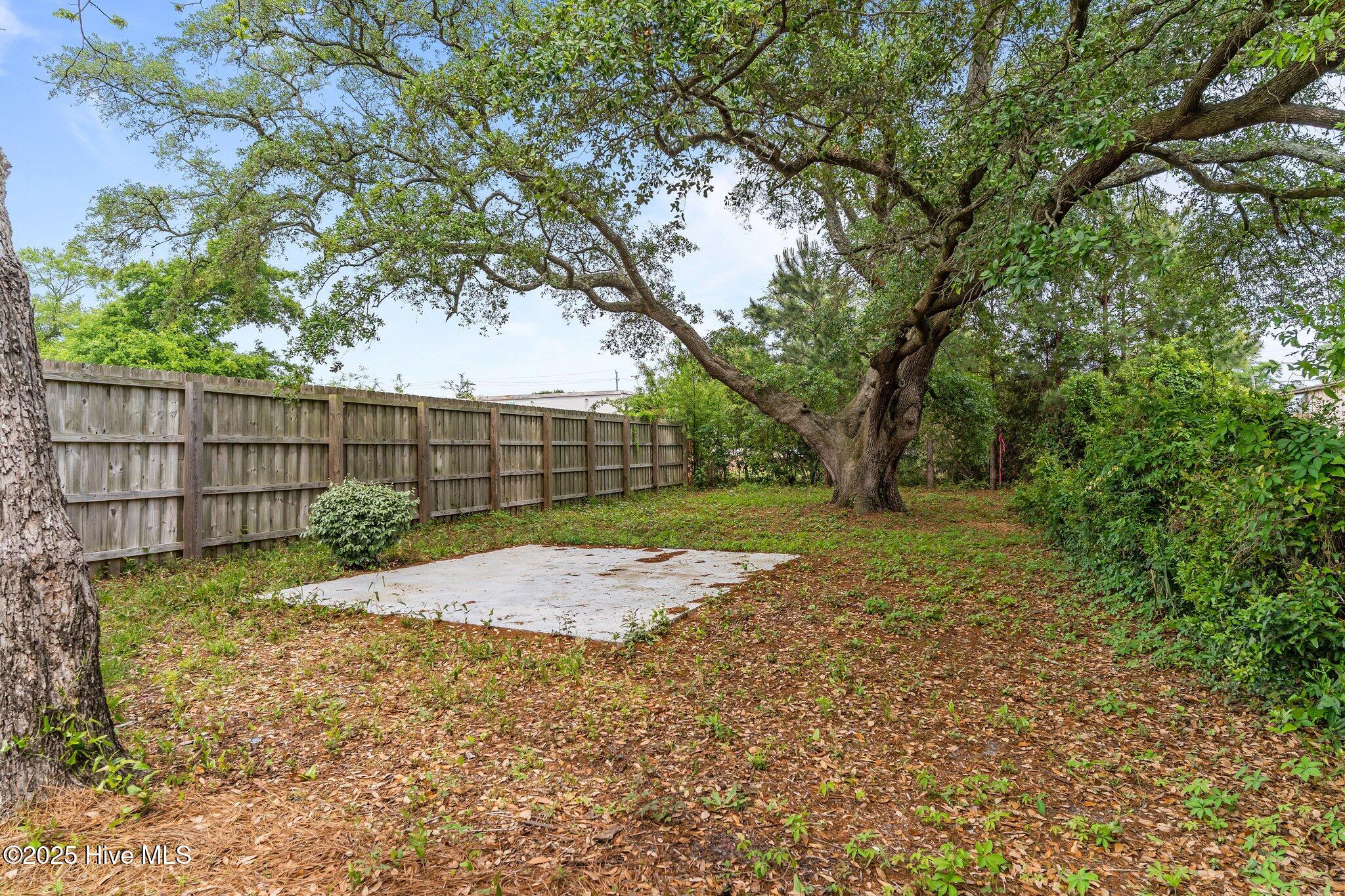 100503074 | Photo 11