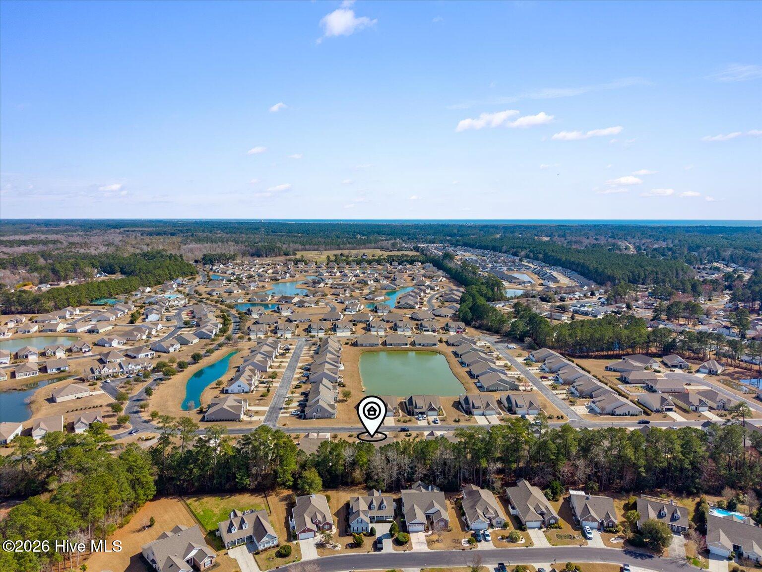 100557120 | Photo 31