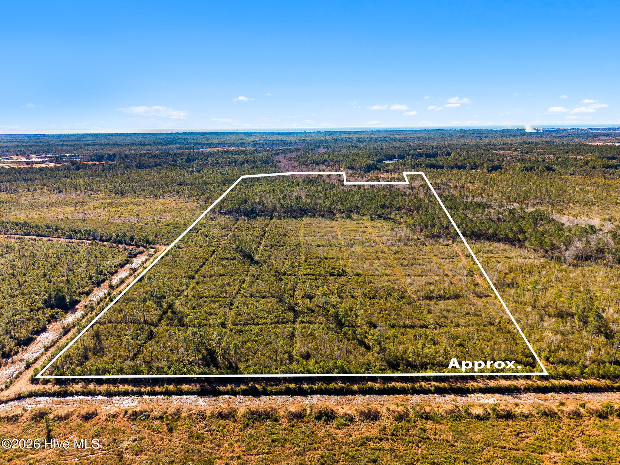 100555013 | Photo 14