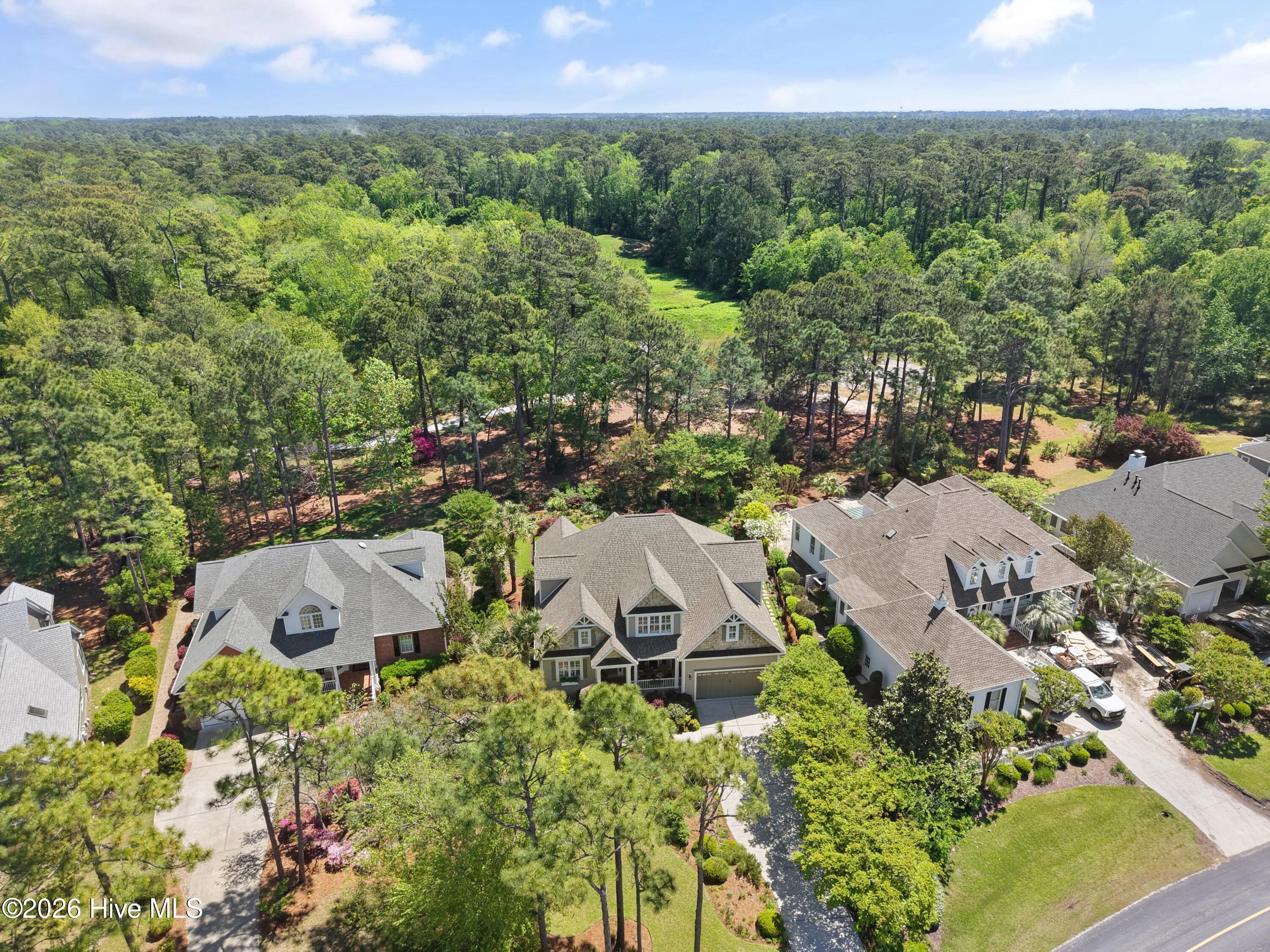 100567309 | Photo 84