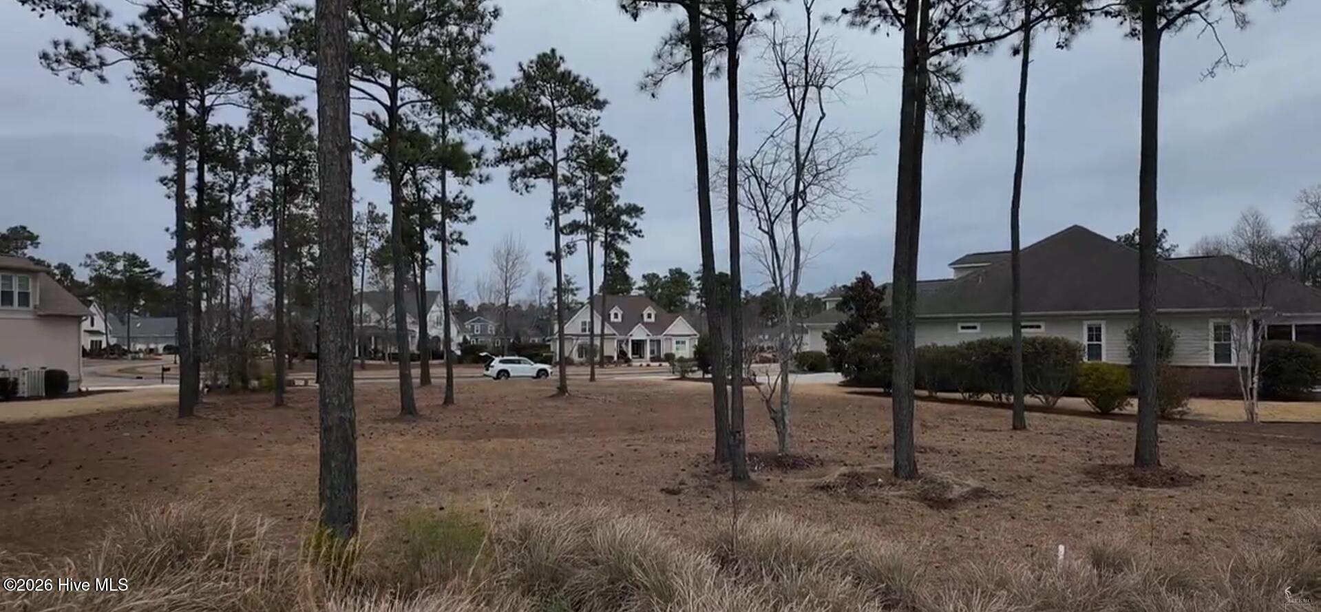 100557146 | Photo 10