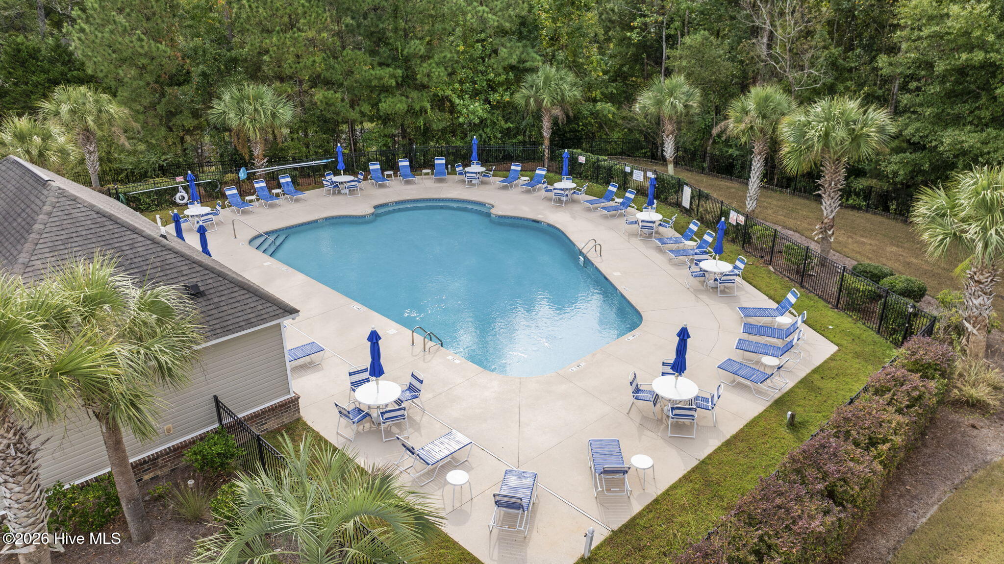 100553227 | Photo 29