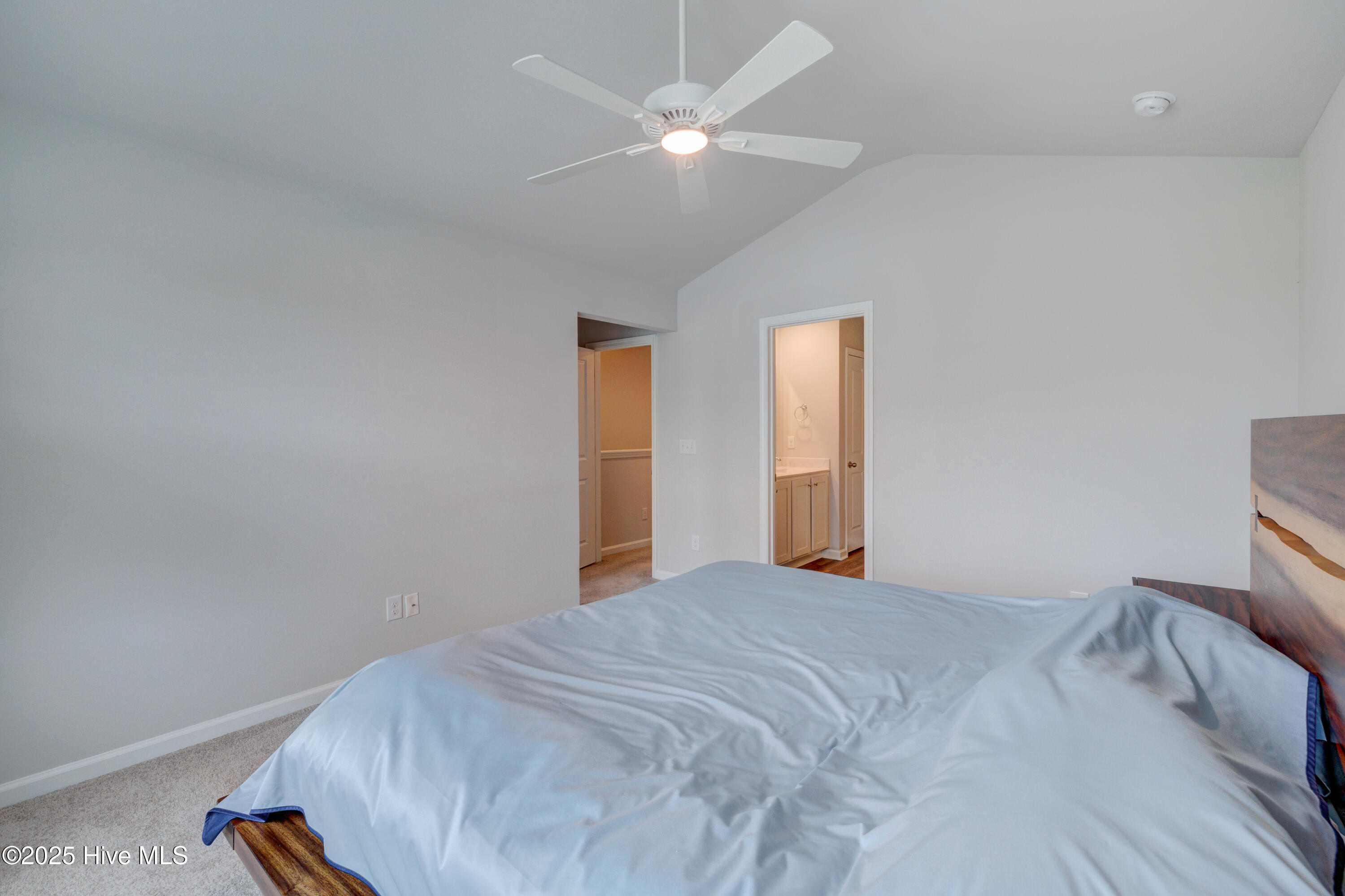 100524829 | Photo 38