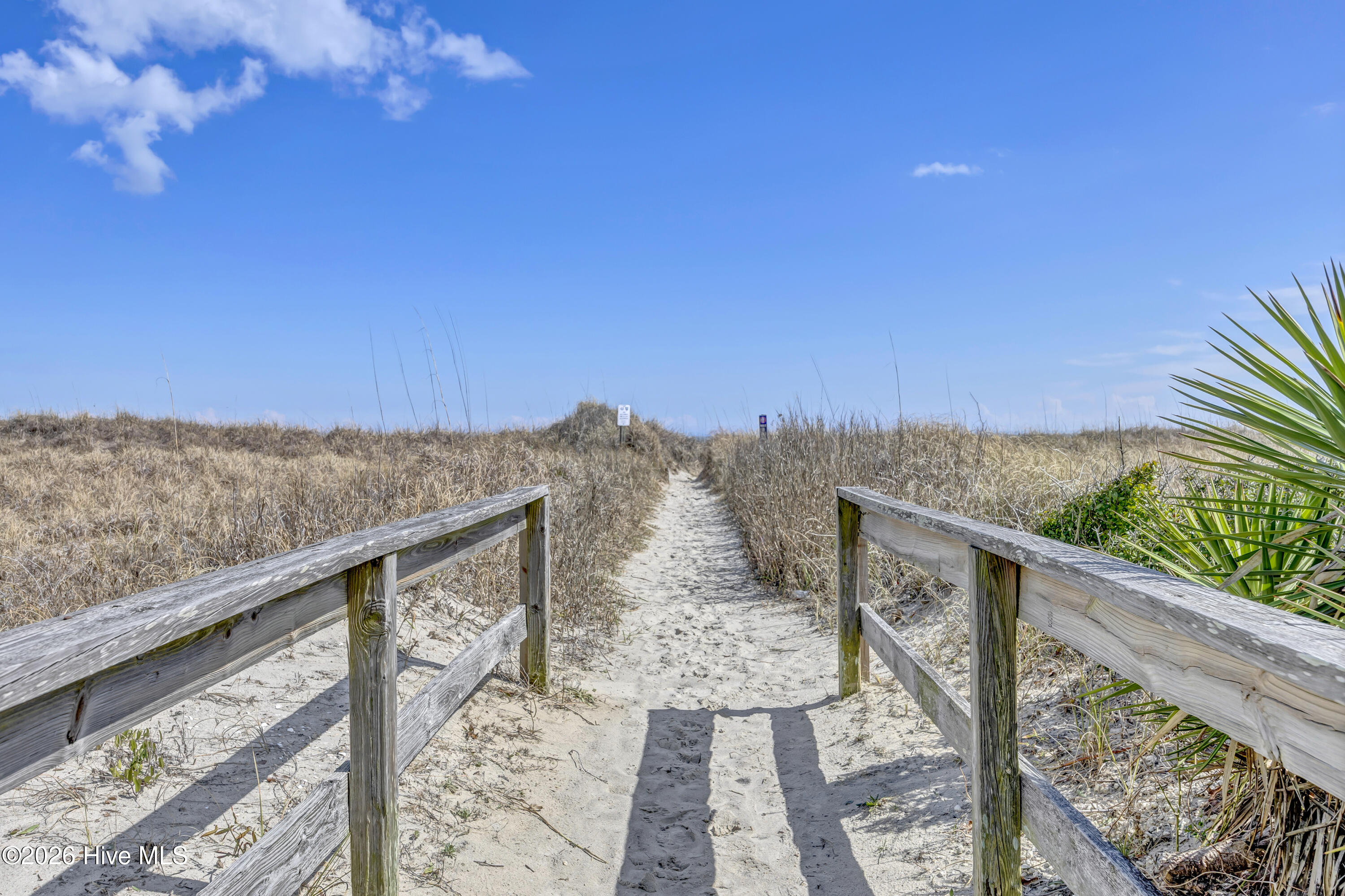 100559910 | Photo 41