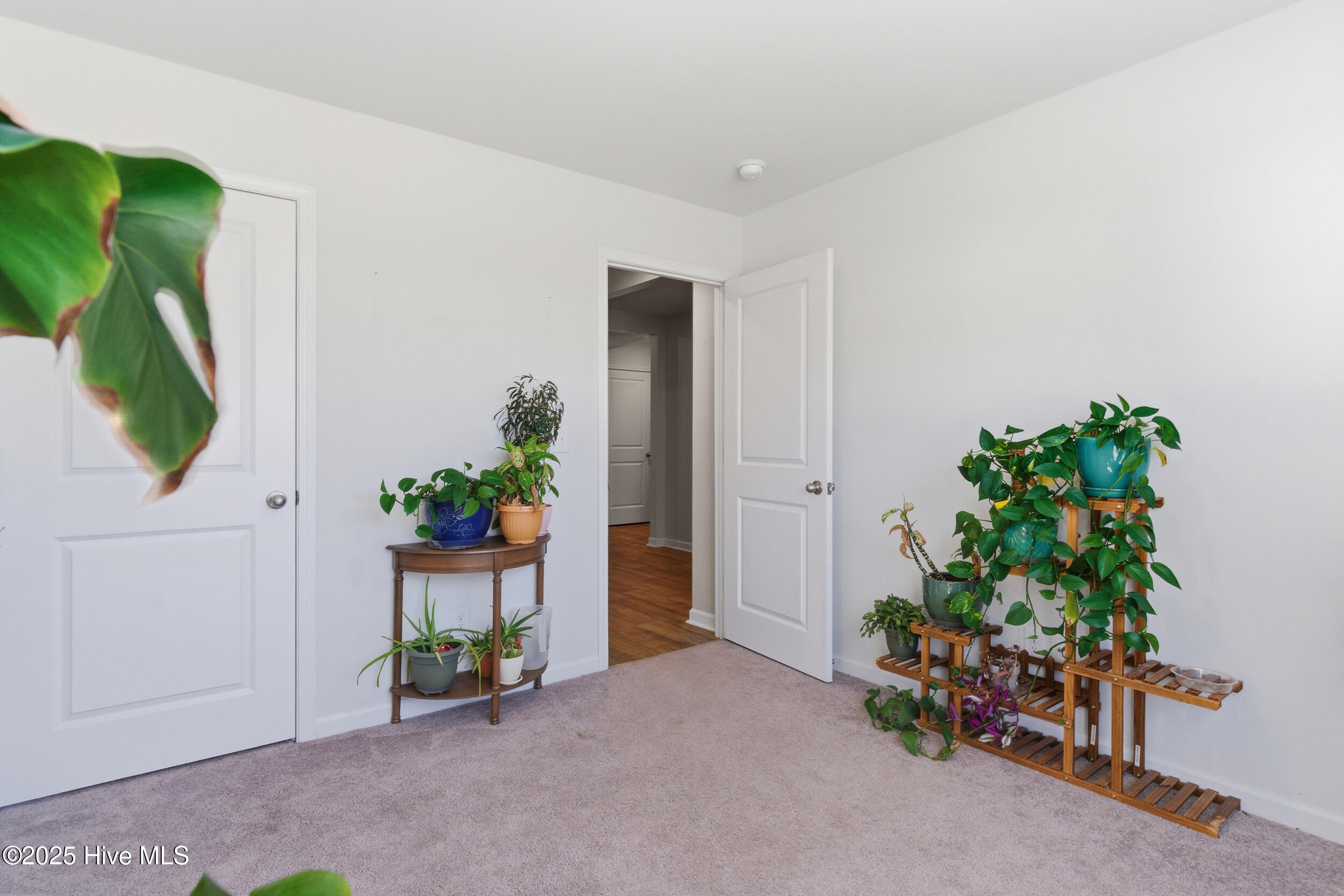 100539440 | Photo 19