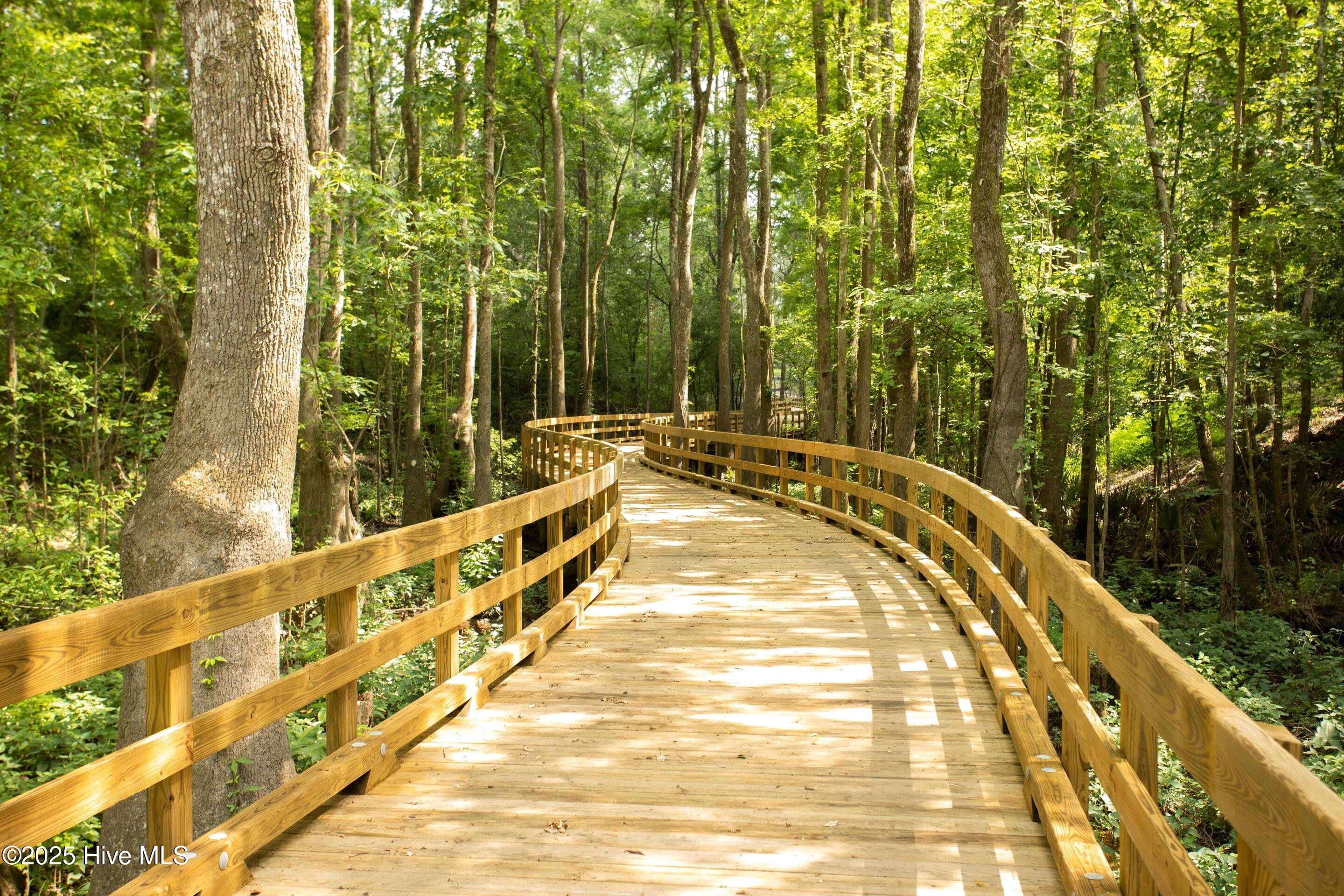 100544817 | Photo 67