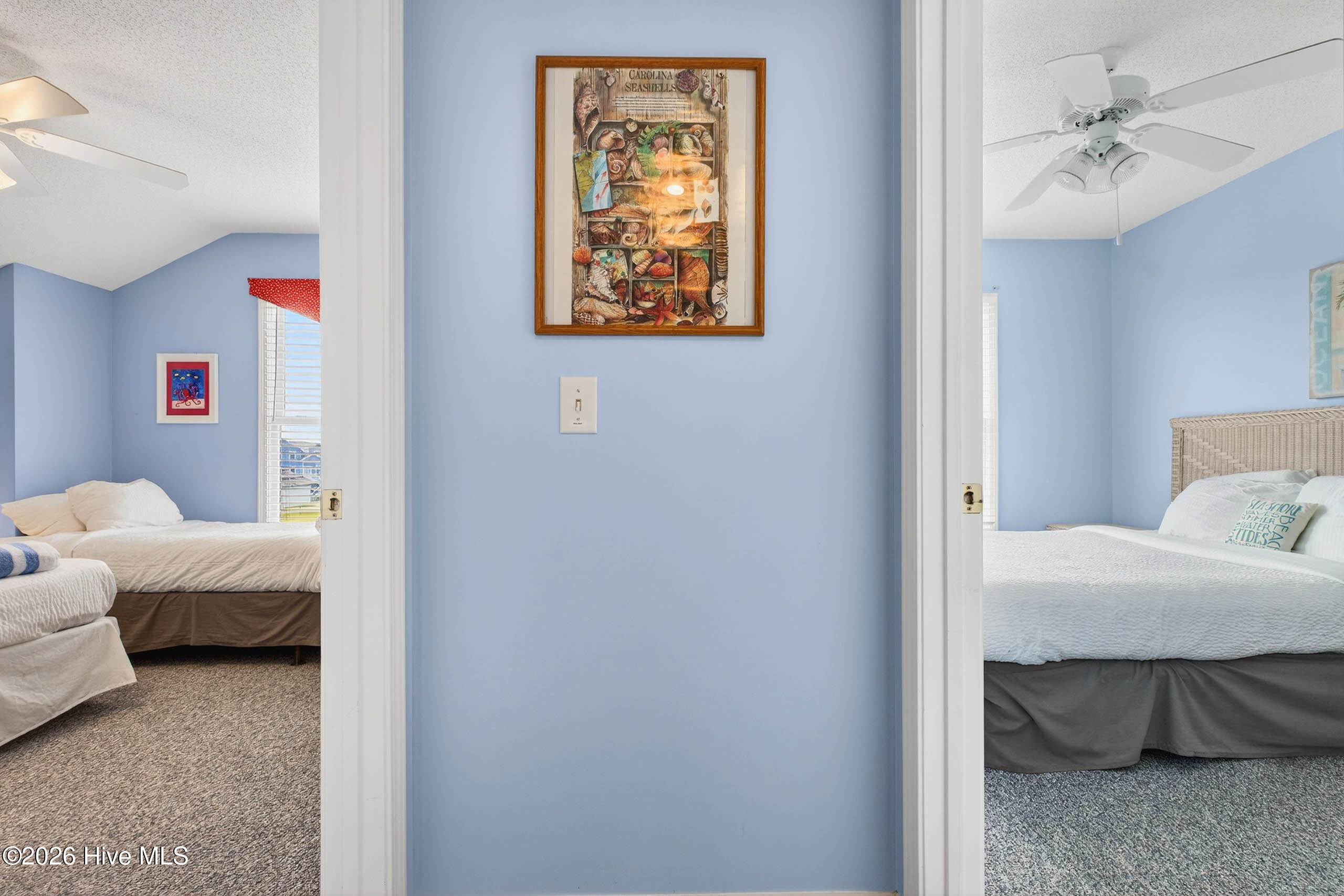 100563035 | Photo 34