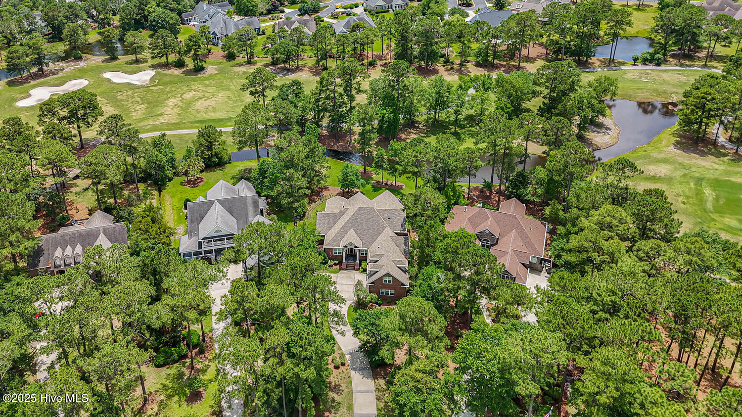 100558070 | Photo 60