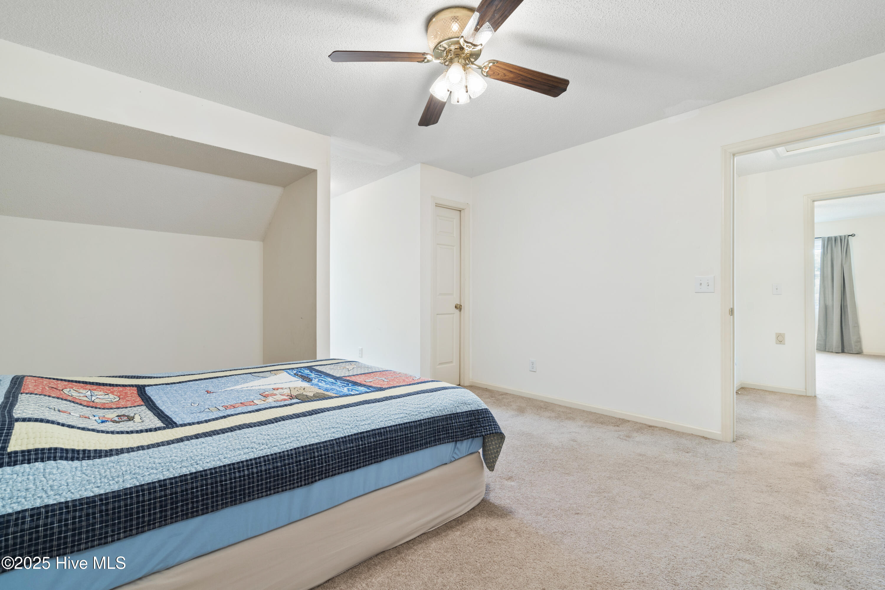 100515405 | Photo 23