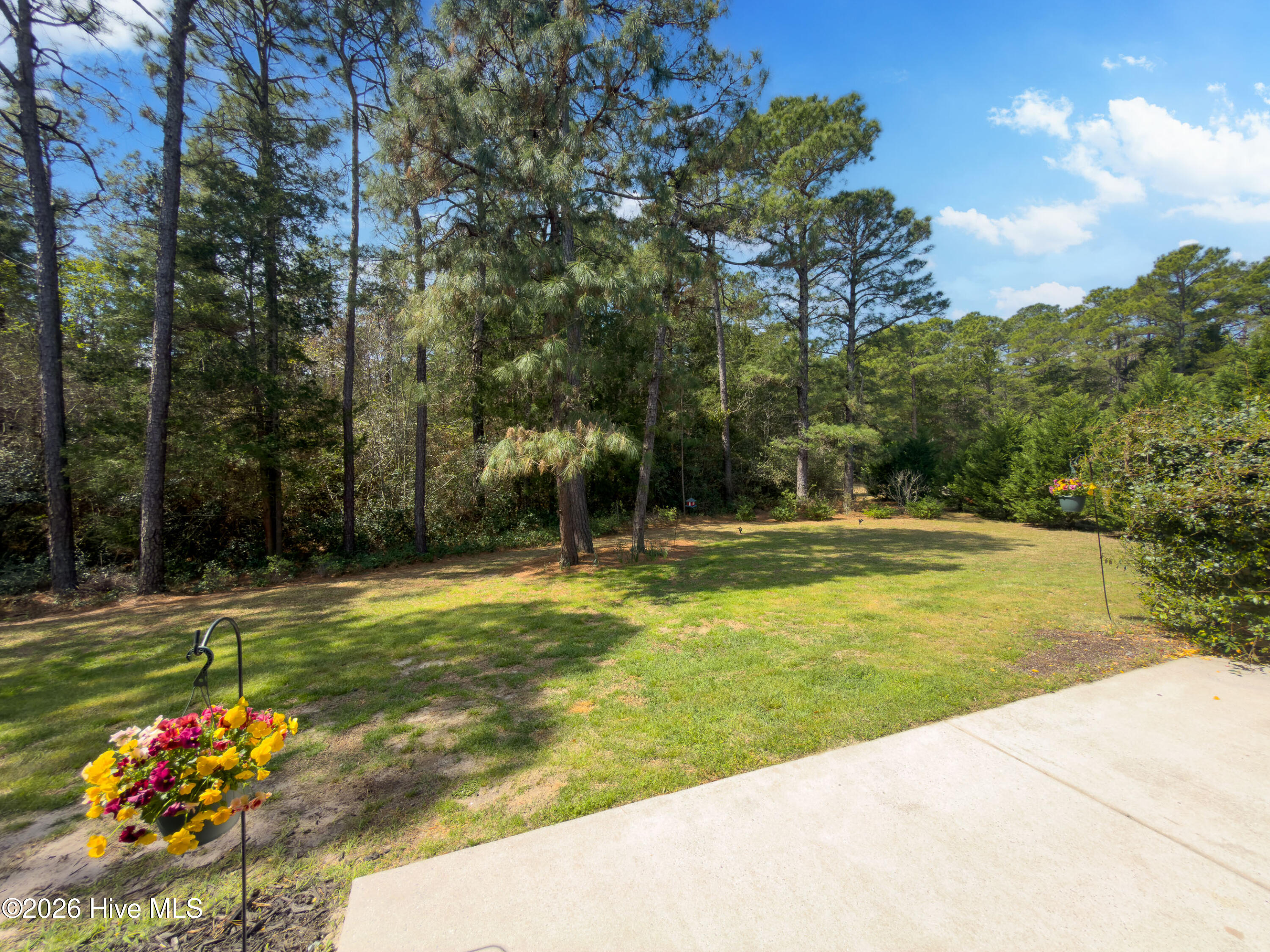 100563576 | Photo 50