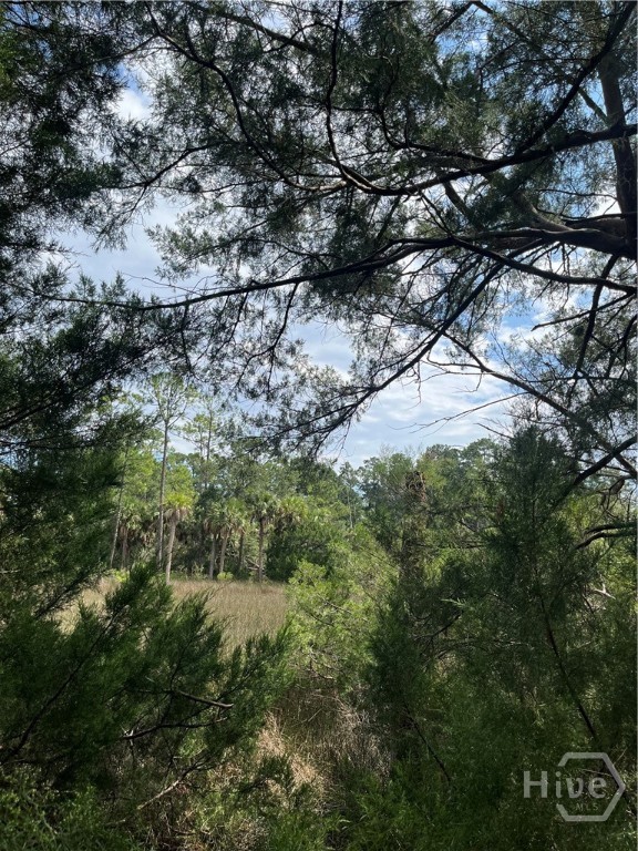 00 Perry, Savannah, Georgia, 0 ,Land,For sale,Perry,SA350172 00 Perry, Savannah, Georgia, 0 ,Land,For sale,Perry,SA350172
