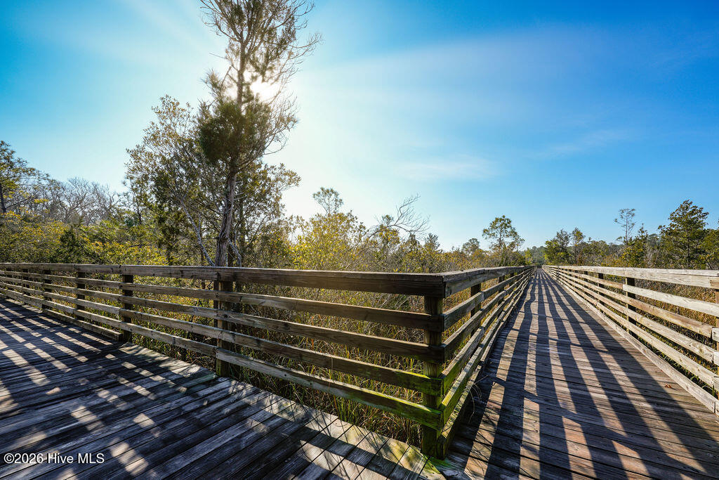 100558623 | Photo 20