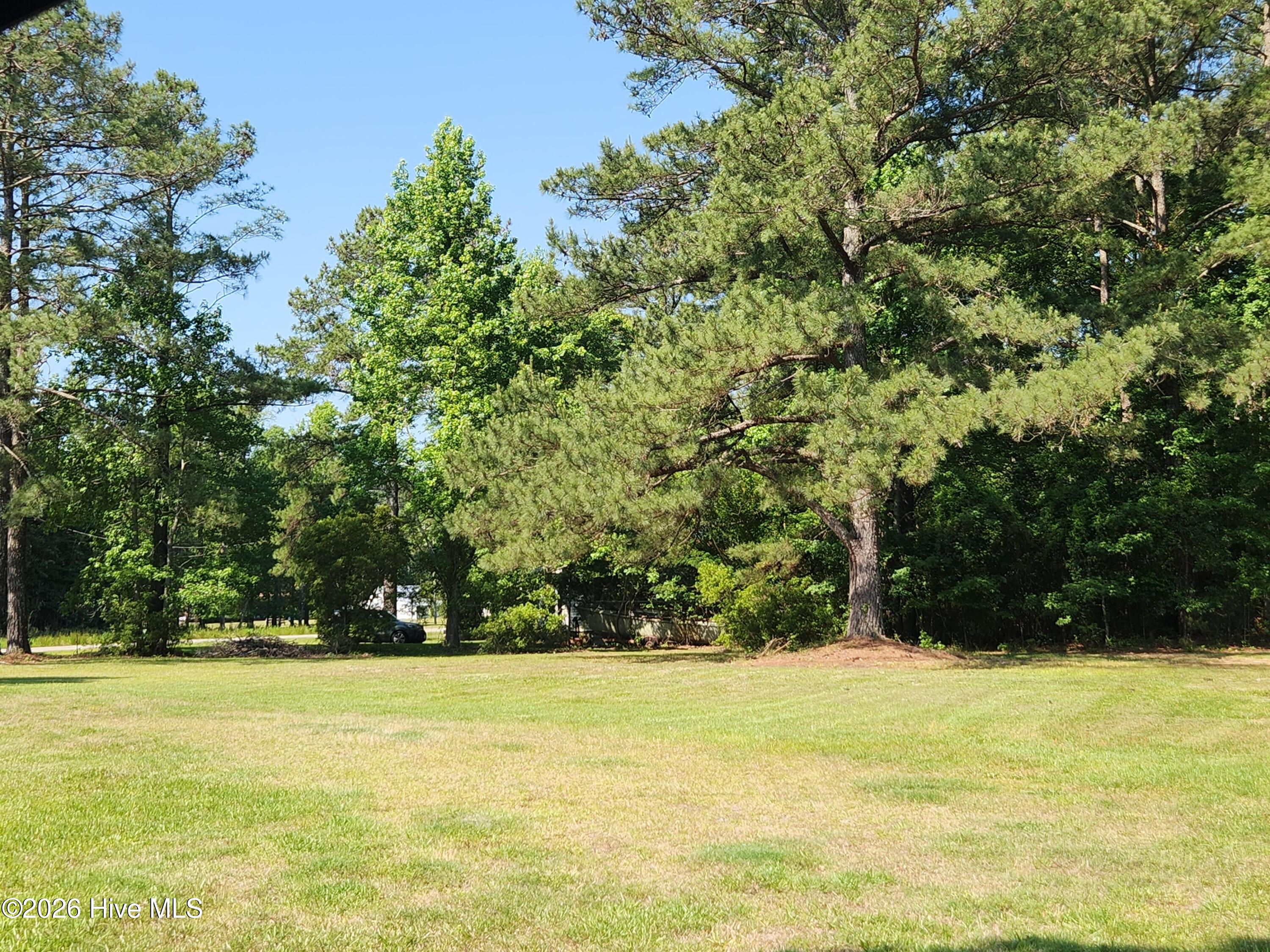 100603158 | Photo 2