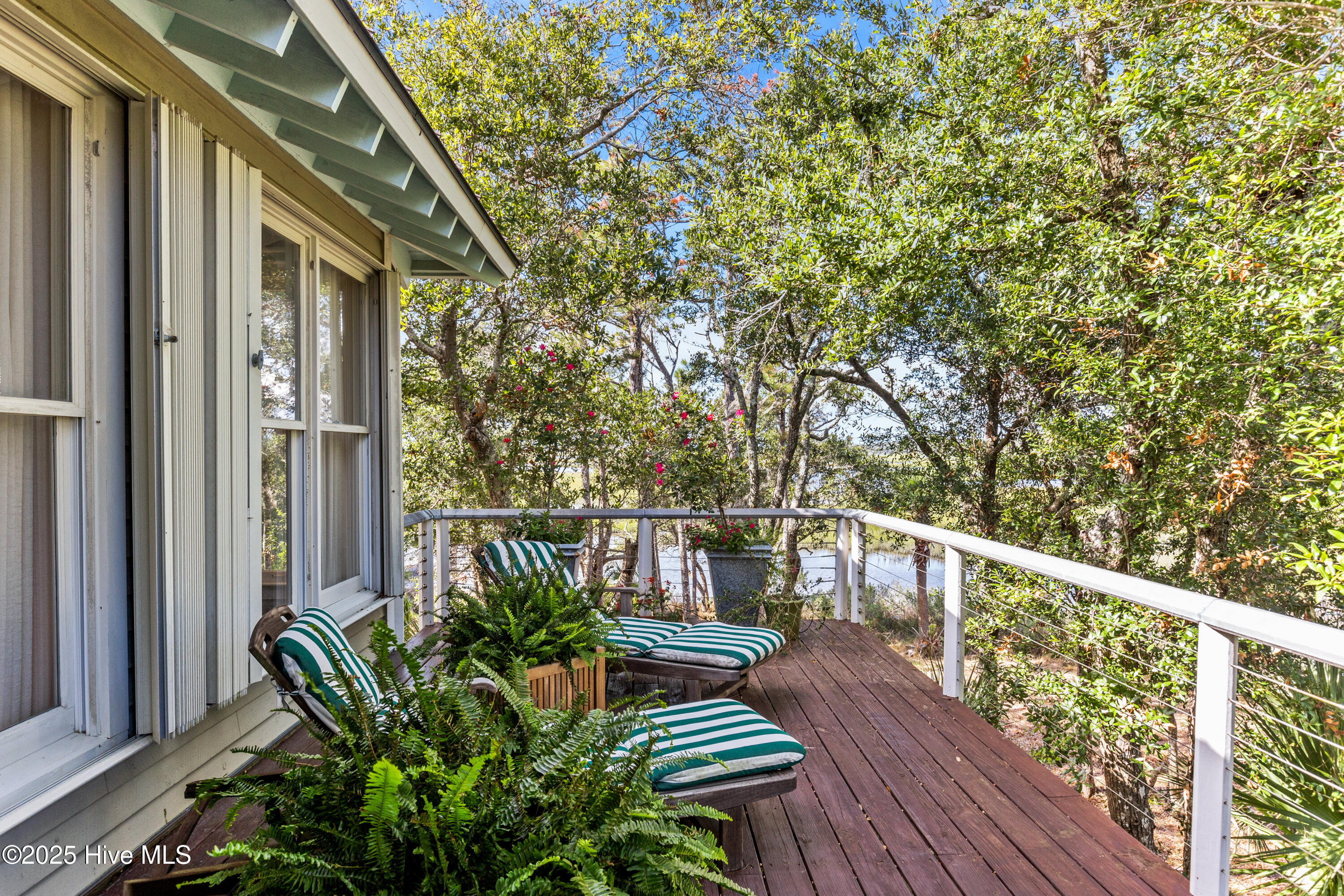 100531454 | Photo 87