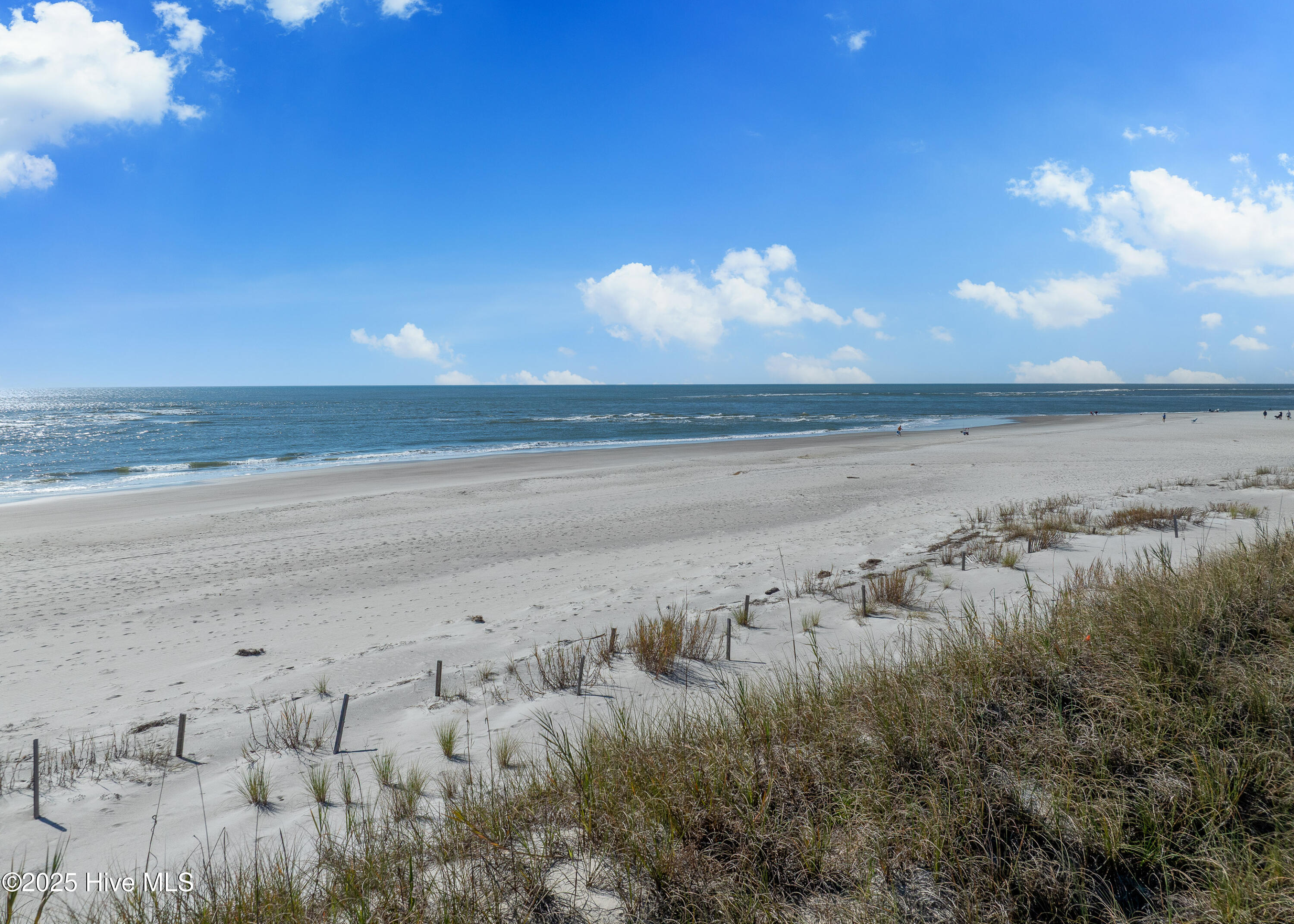 100541150 | Photo 61