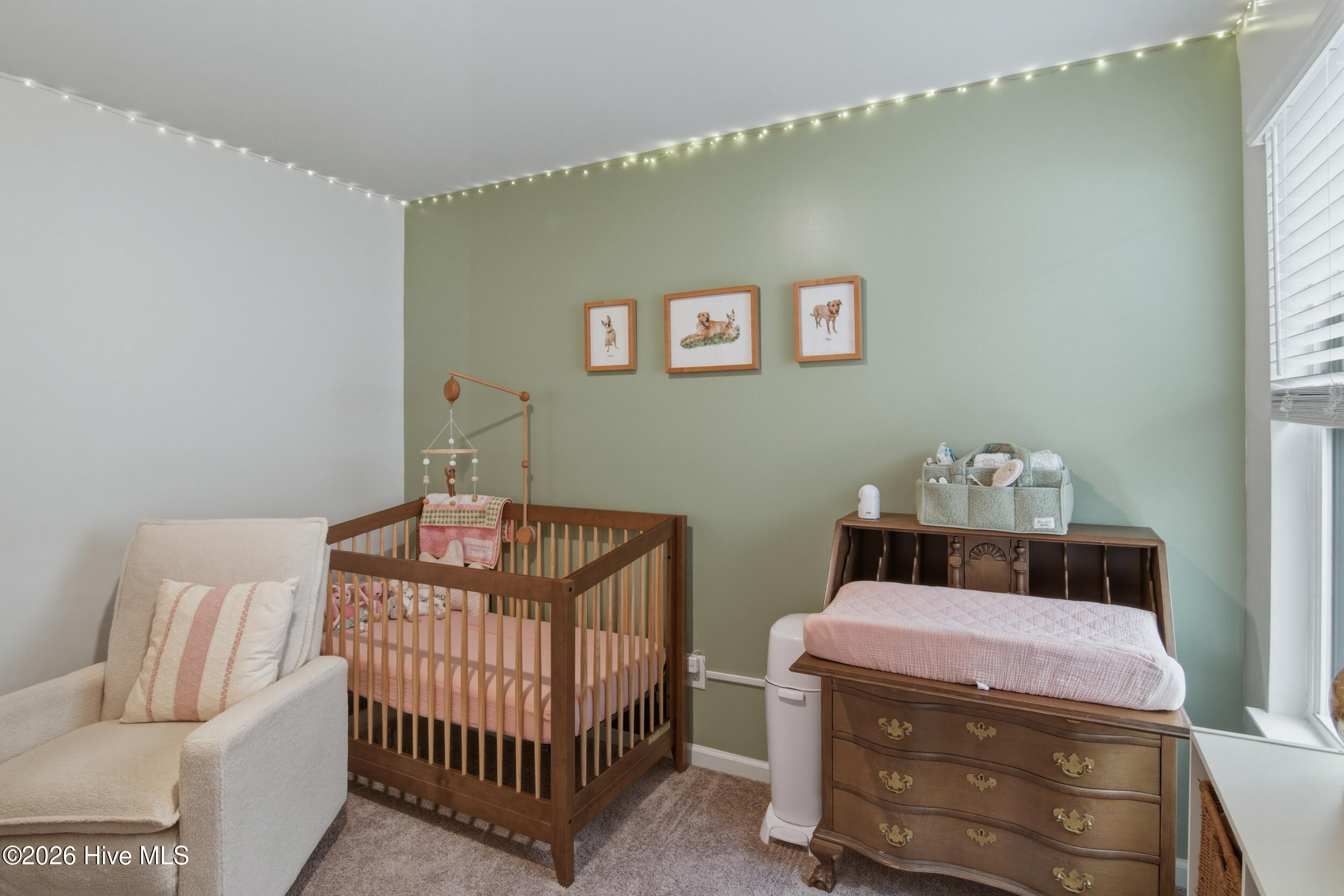 100555979 | Photo 39