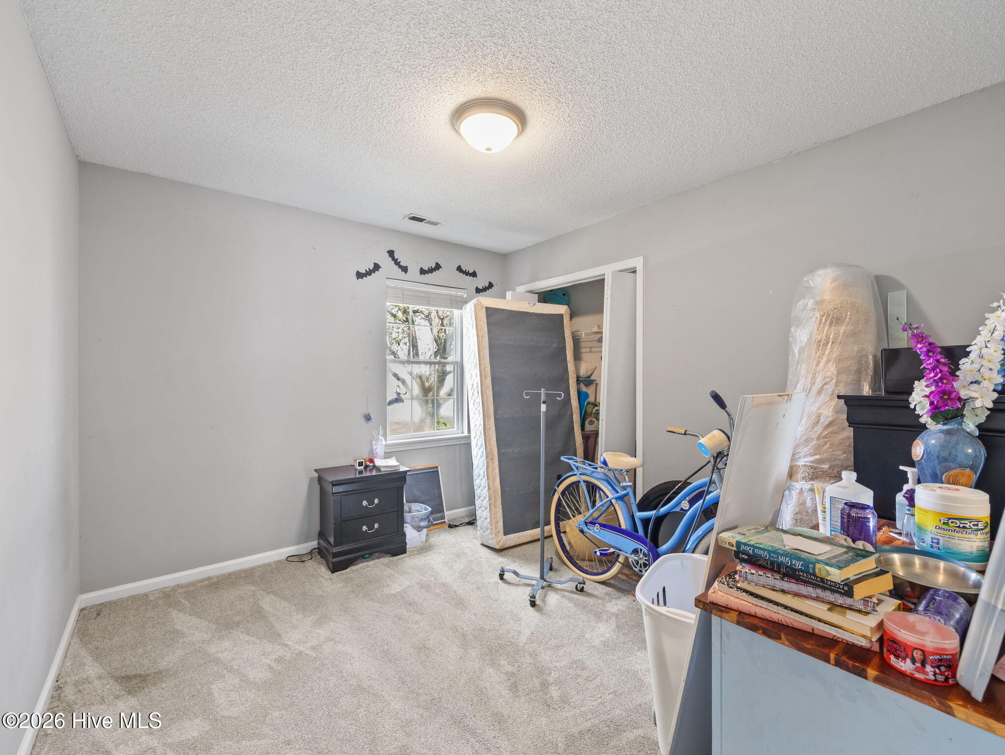 100562262 | Photo 15