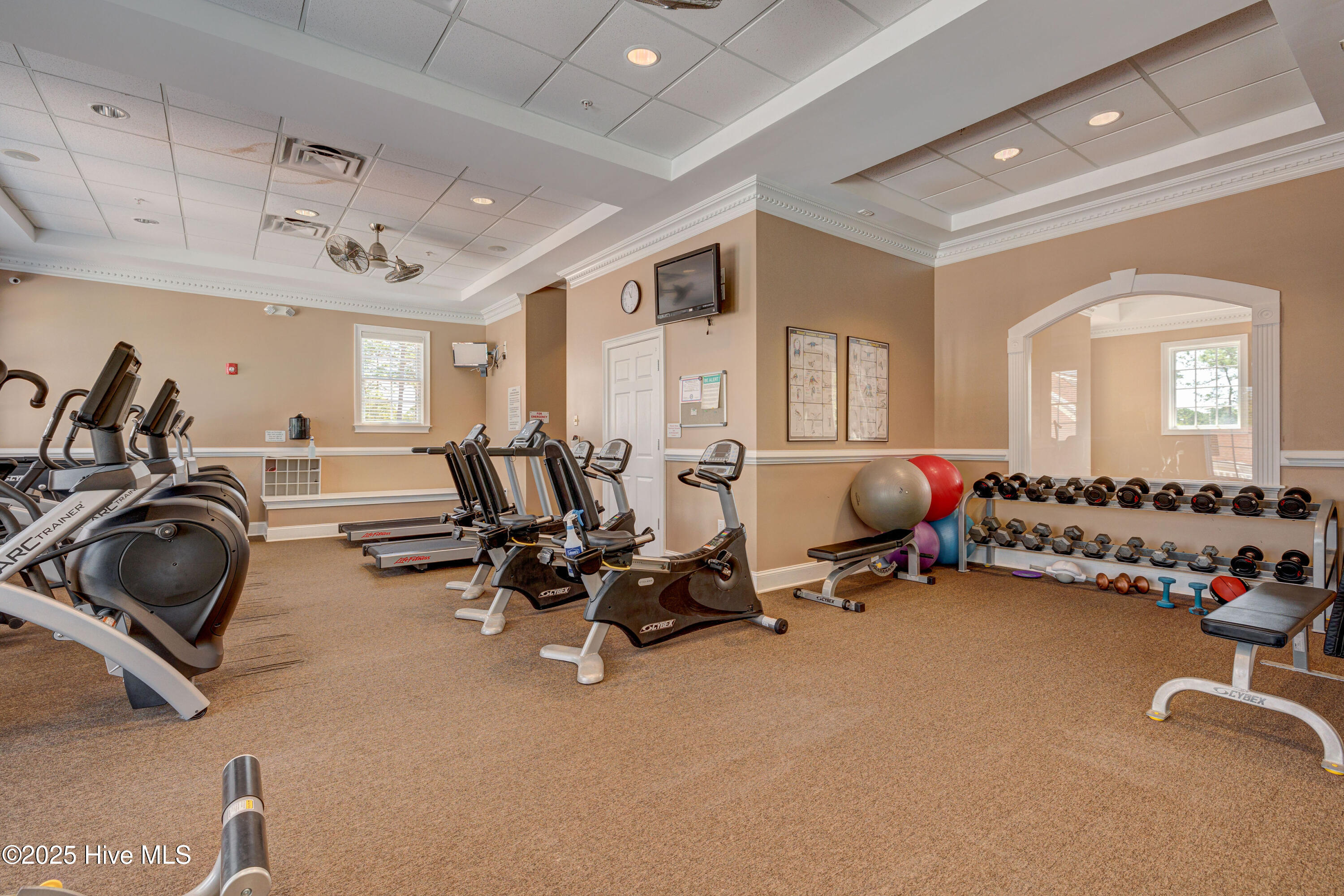 100547497 | Photo 30