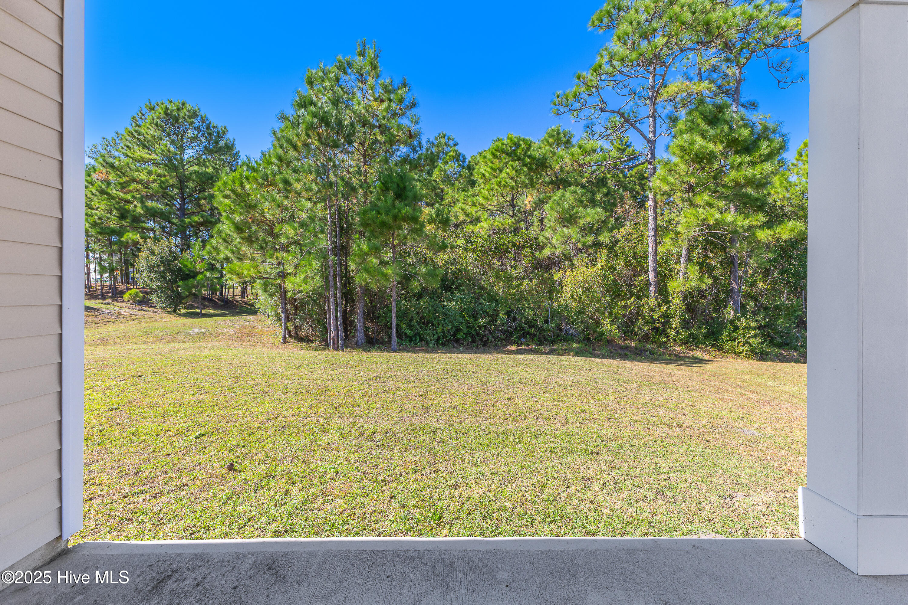 100538359 | Photo 22